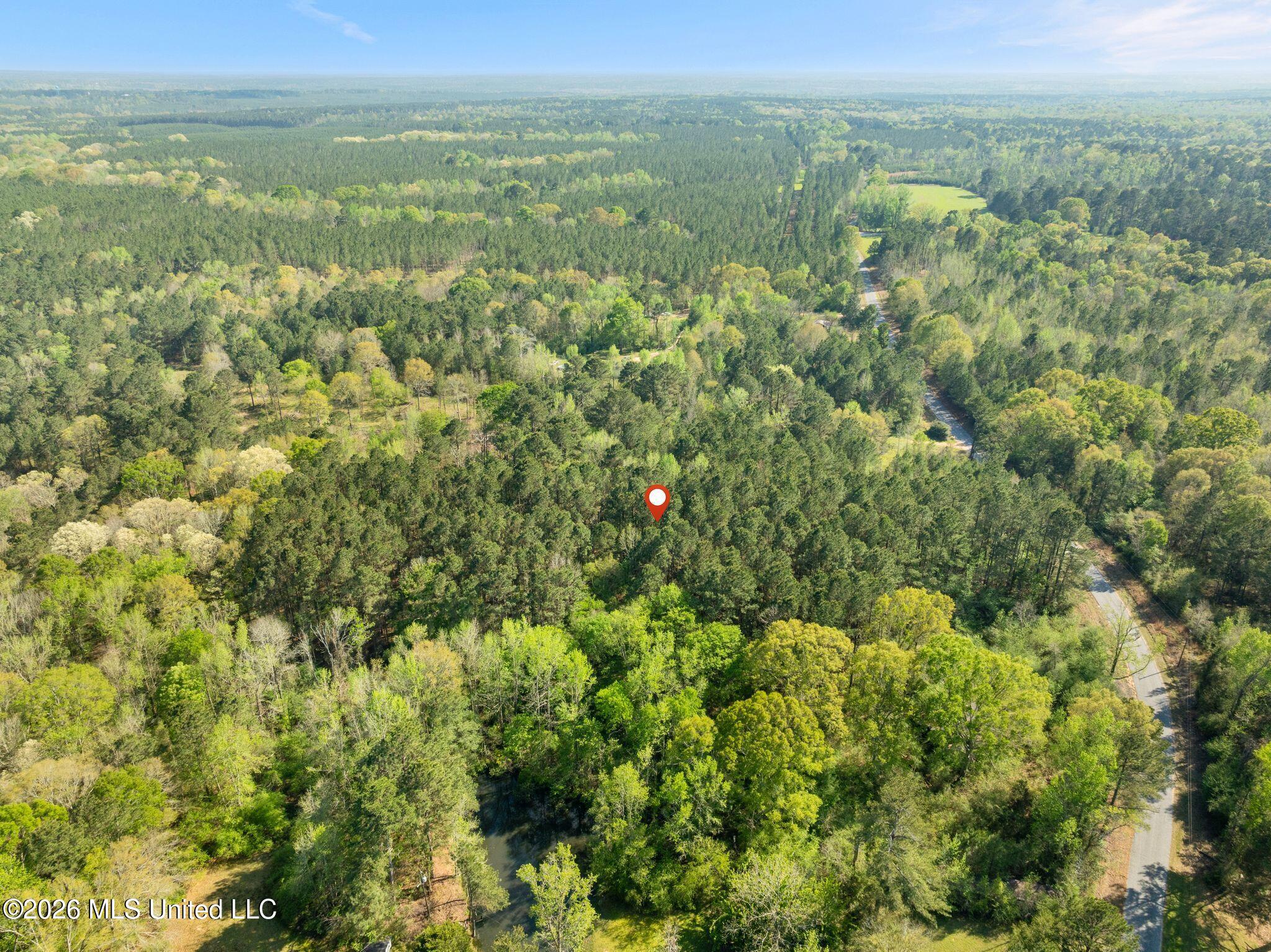 3-acres Will Barber Road Pinola, MS 39149 - Photo 9 of 14 mls_245_Will_Barber_Rd-9