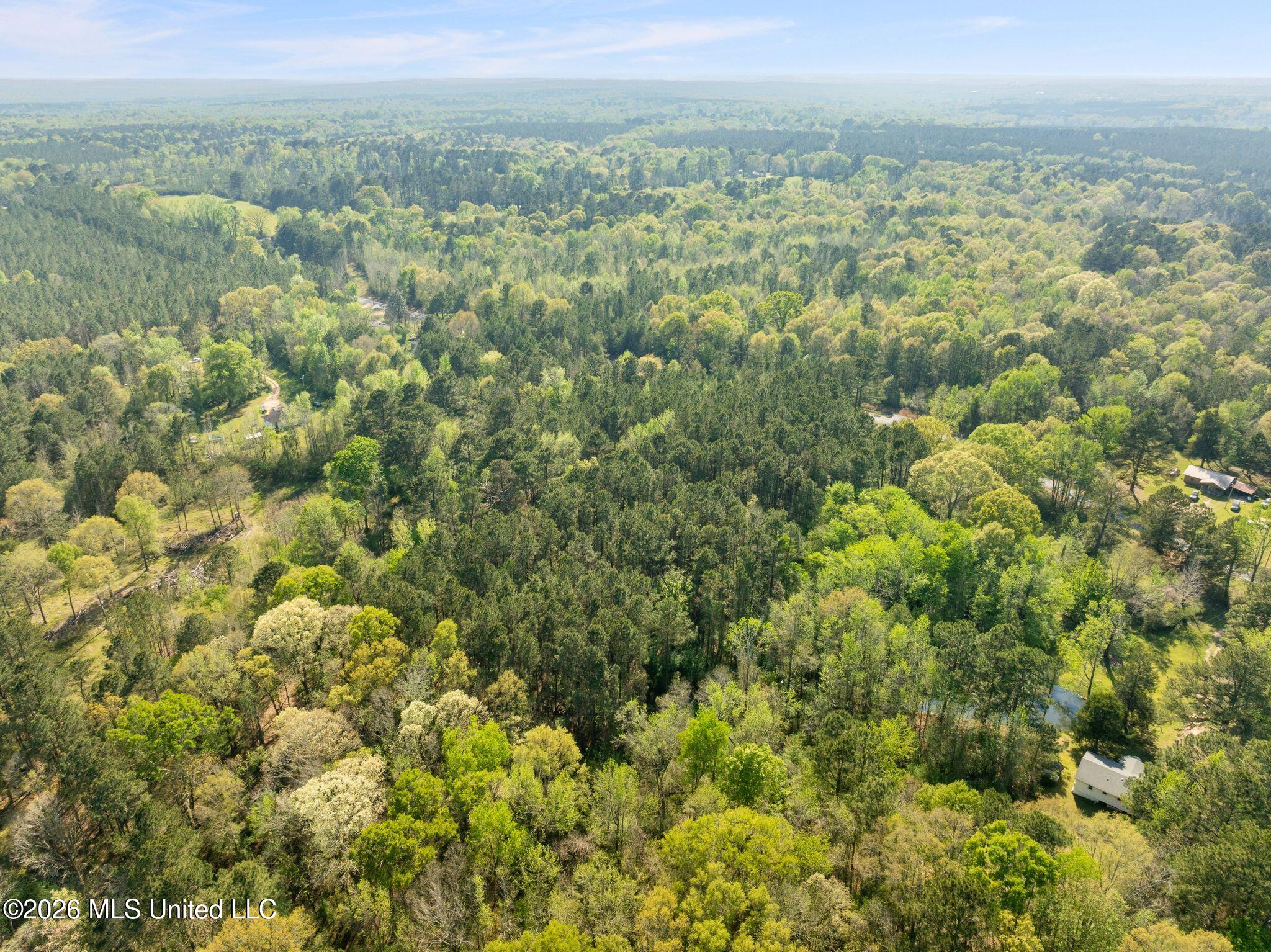 3-acres Will Barber Road Pinola, MS 39149 - Photo 10 of 14 mls_245_Will_Barber_Rd-10