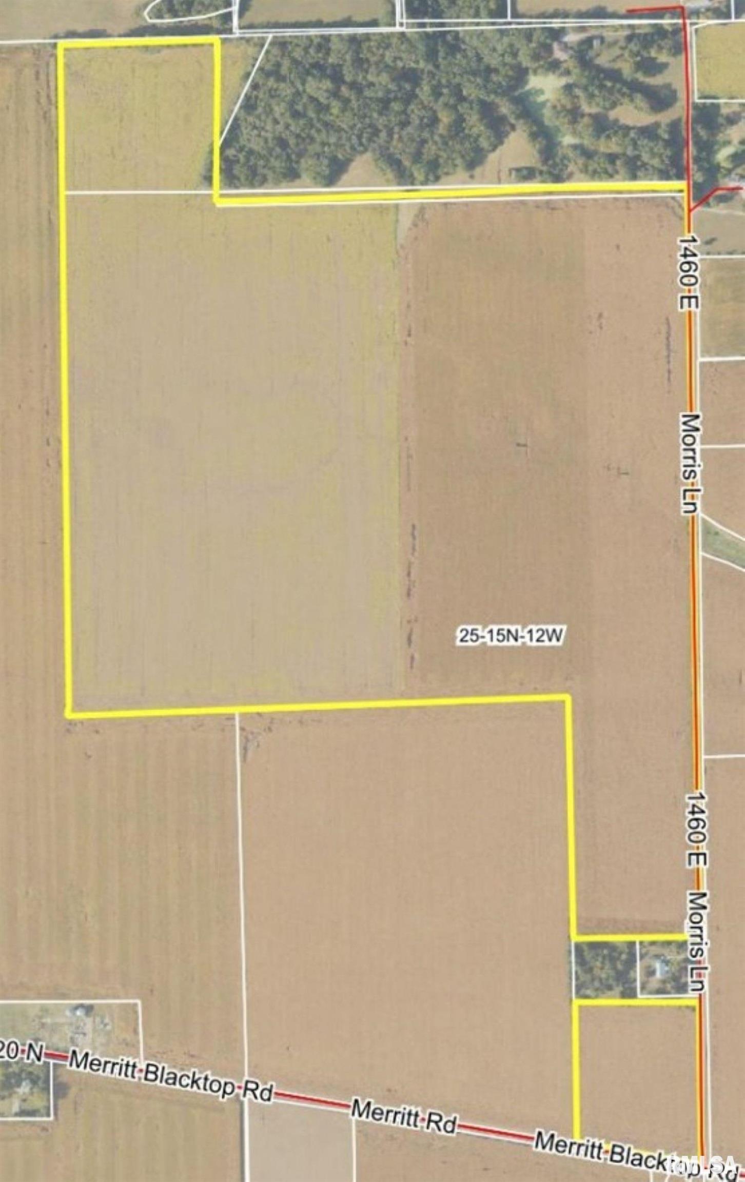 Merritt Blacktop Road Jacksonville, IL 62650 - Photo 11 of 14