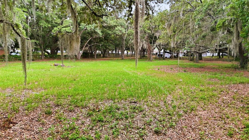1918 Sydney Road Valrico, FL 33594 - Photo 30 of 35