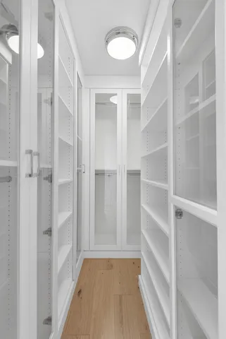 a view of walk in closet with empty racks