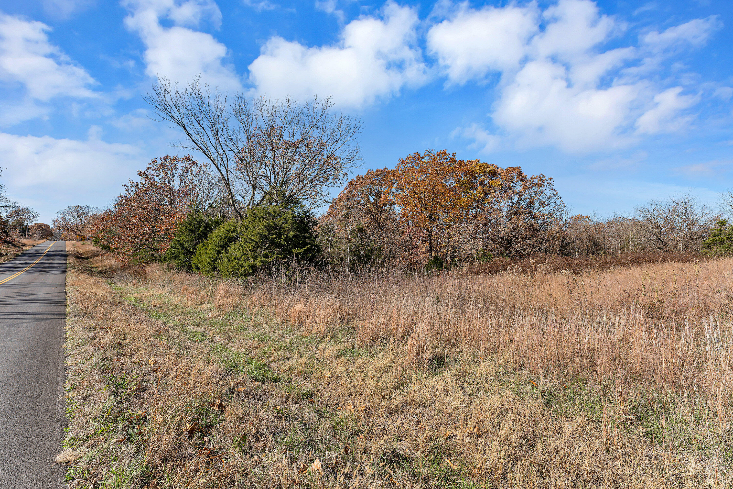 7800 St George Road Hartville, MO 65667 - Photo 13 of 35 StGeorge-88-35