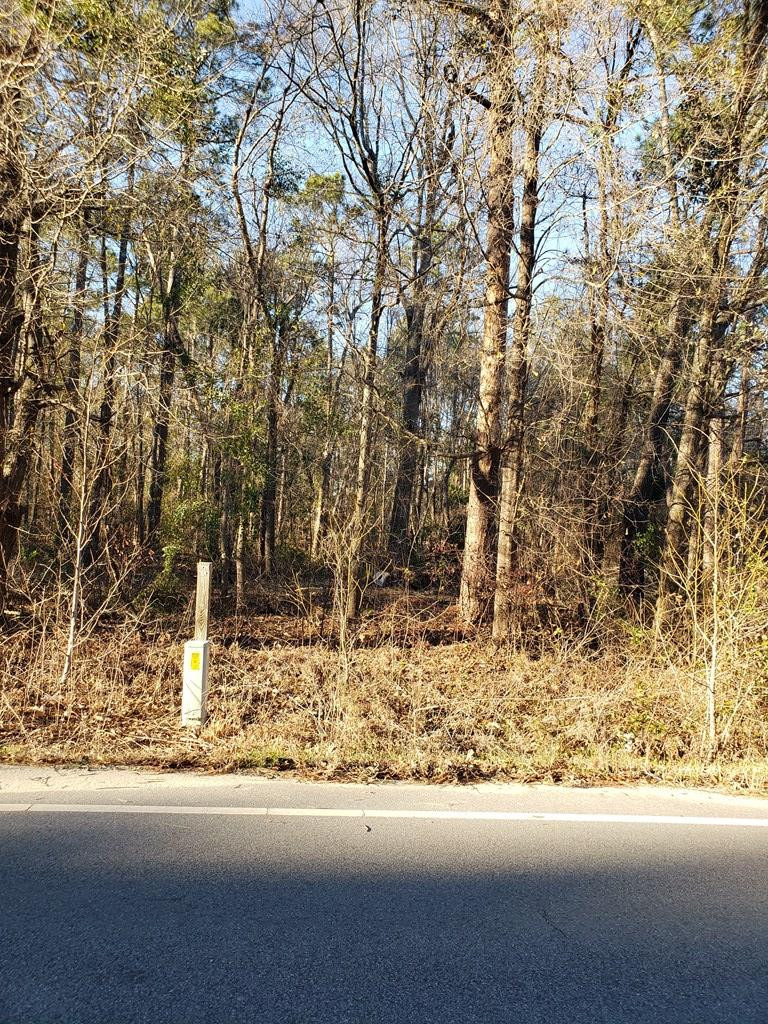 131 Egypt Road Camden, SC 29020 - Photo 3 of 3