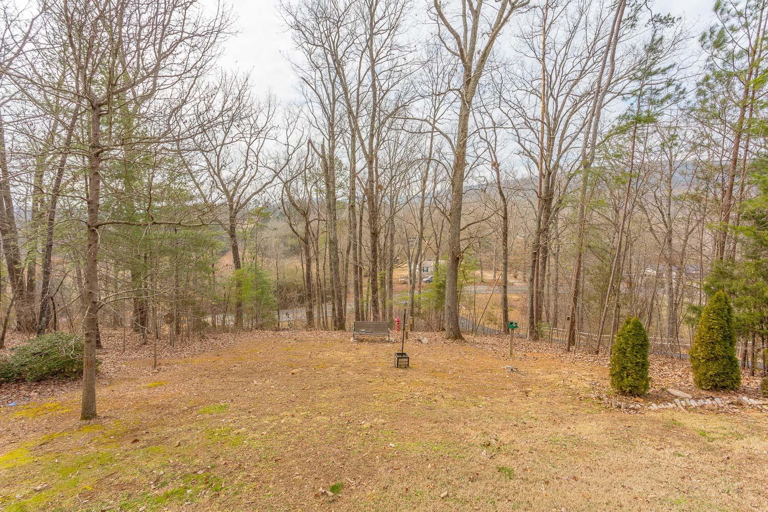 273 Highwater Road Soddy Daisy, TN 37379 - Photo 63 of 77 273 Highwater Road HD-20
