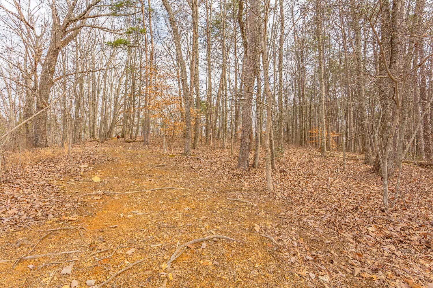 273 Highwater Road Soddy Daisy, TN 37379 - Photo 74 of 77 273 Highwater Road HD-6