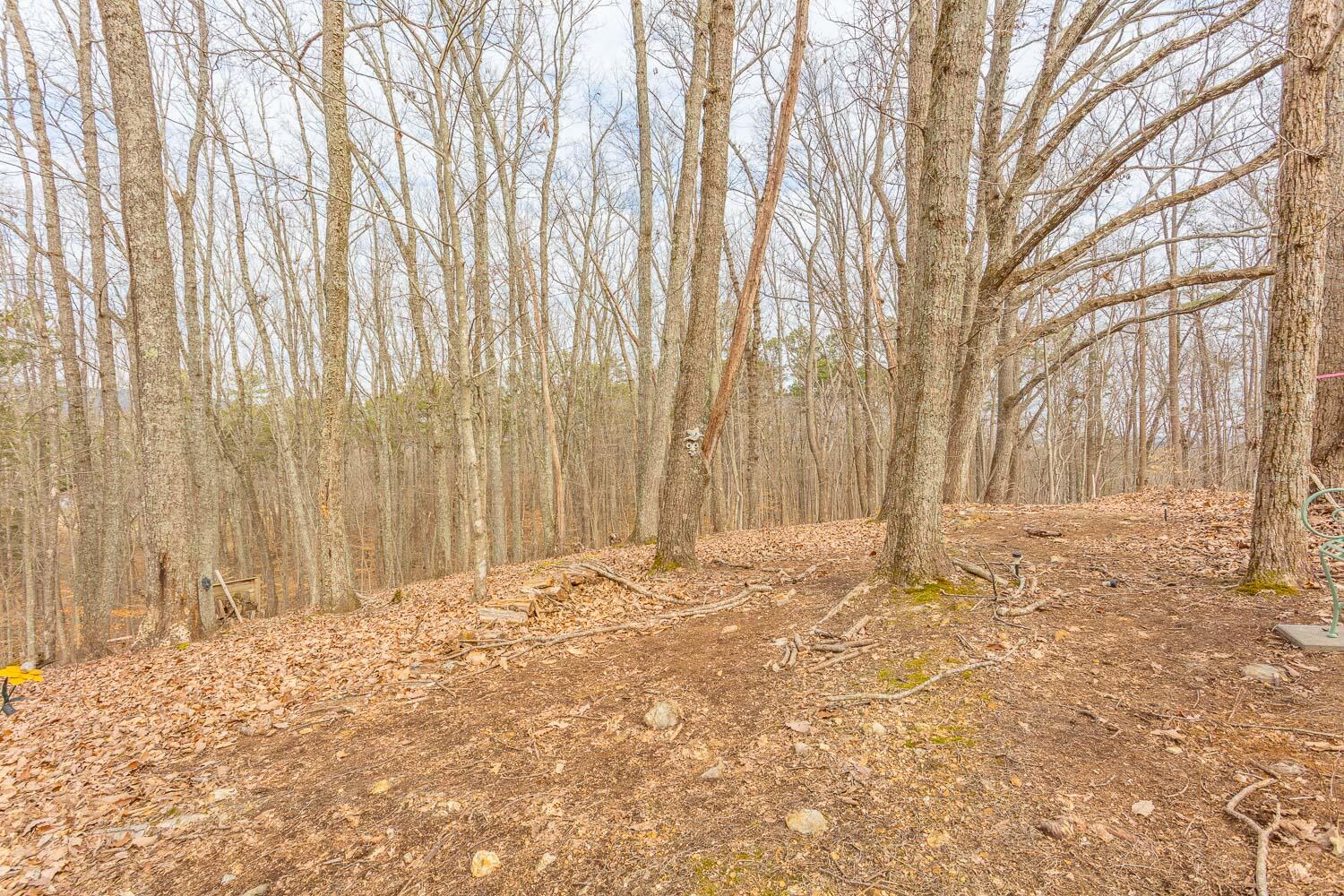 273 Highwater Road Soddy Daisy, TN 37379 - Photo 75 of 77 273 Highwater Road HD-7