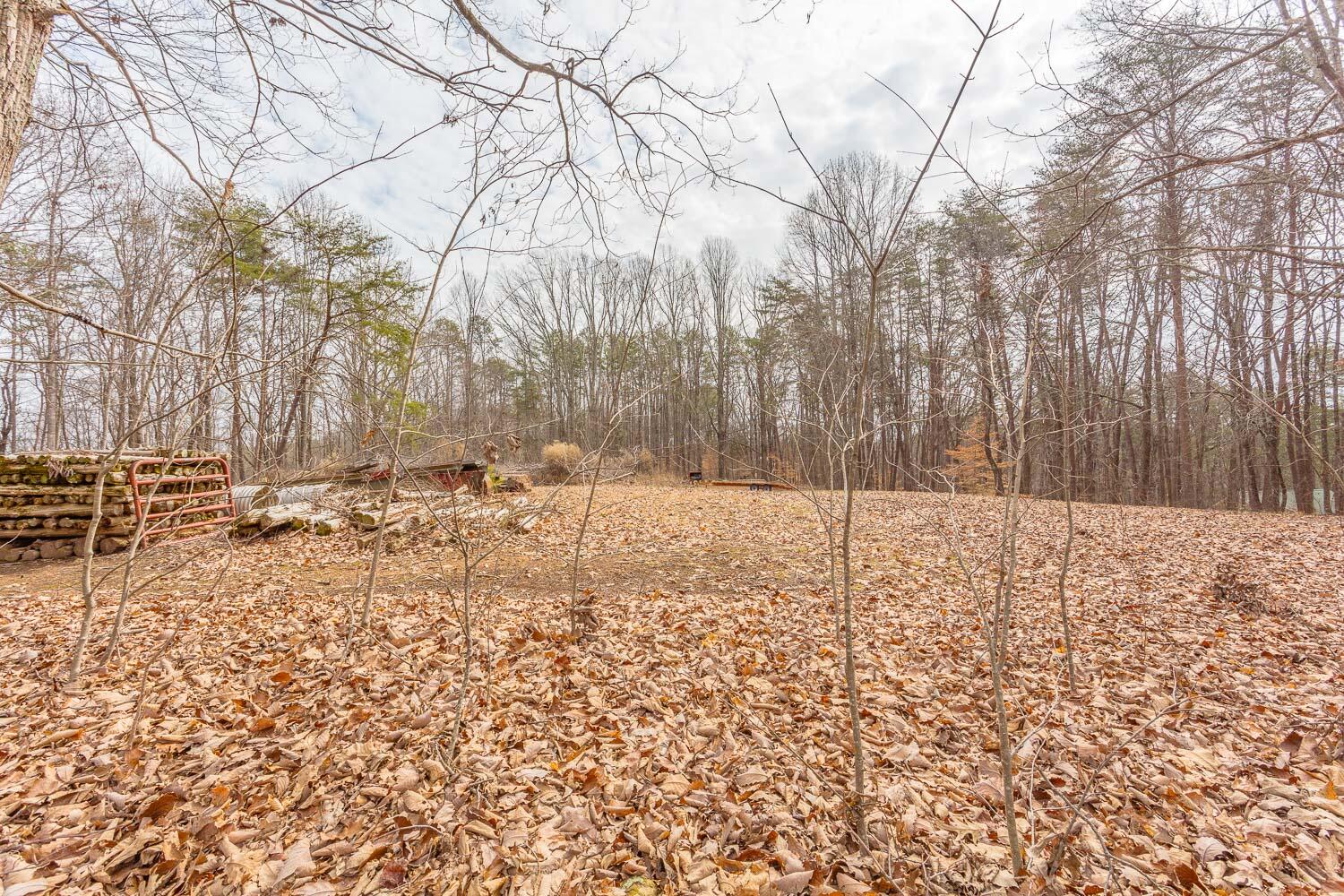 273 Highwater Road Soddy Daisy, TN 37379 - Photo 76 of 77 273 Highwater Road HD-8