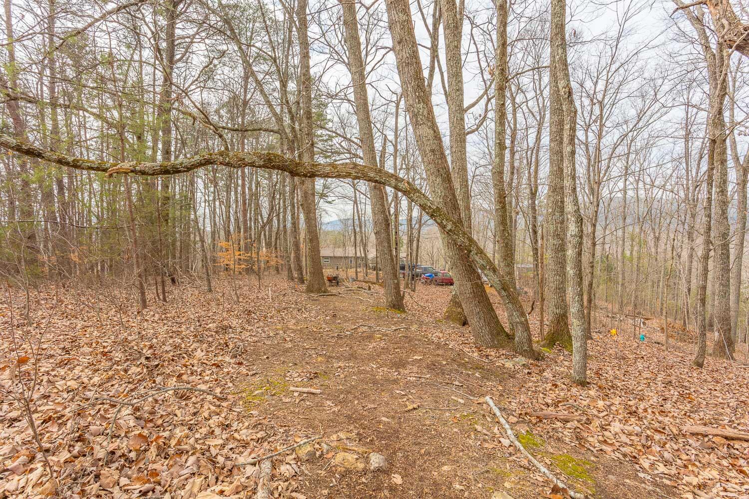 273 Highwater Road Soddy Daisy, TN 37379 - Photo 77 of 77 273 Highwater Road HD-9