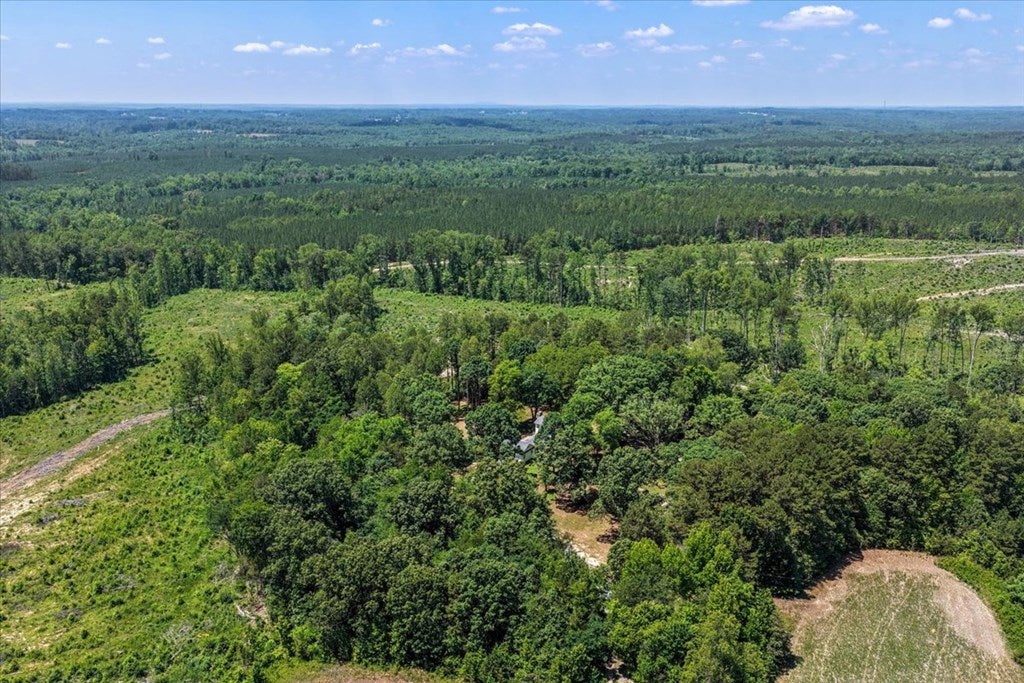 3095 State Shed Road Nathalie, VA 24577 - Photo 87 of 90 Aerial view