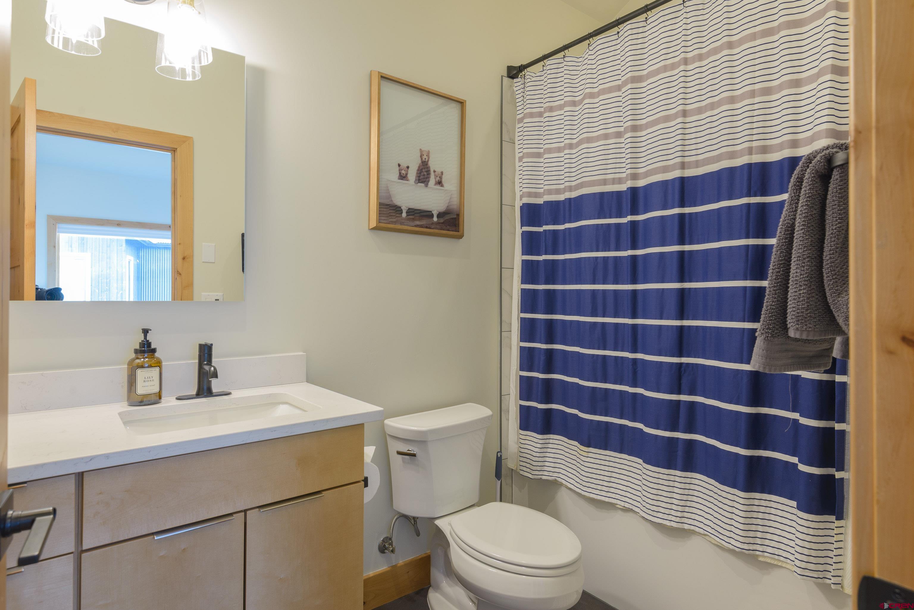 131 Elk Valley Road, Unit A Crested Butte, CO 81224 - Photo 17 of 29 a bathroom with a toilet a sink and mirror
