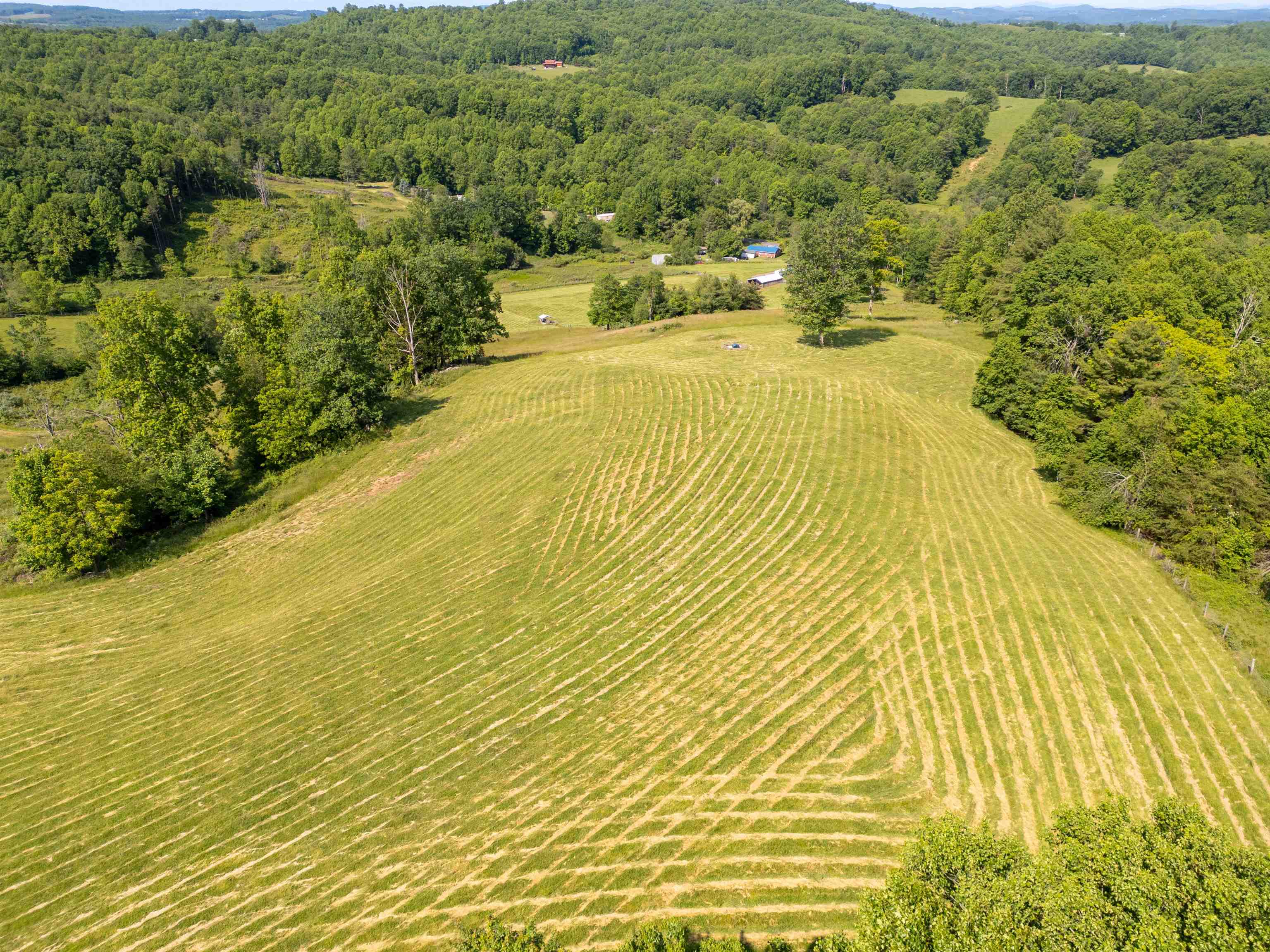 Tbd Tbd Gibson Knob Road Laurel Fork, VA 24352 - Photo 19 of 65 Gallery Image 19