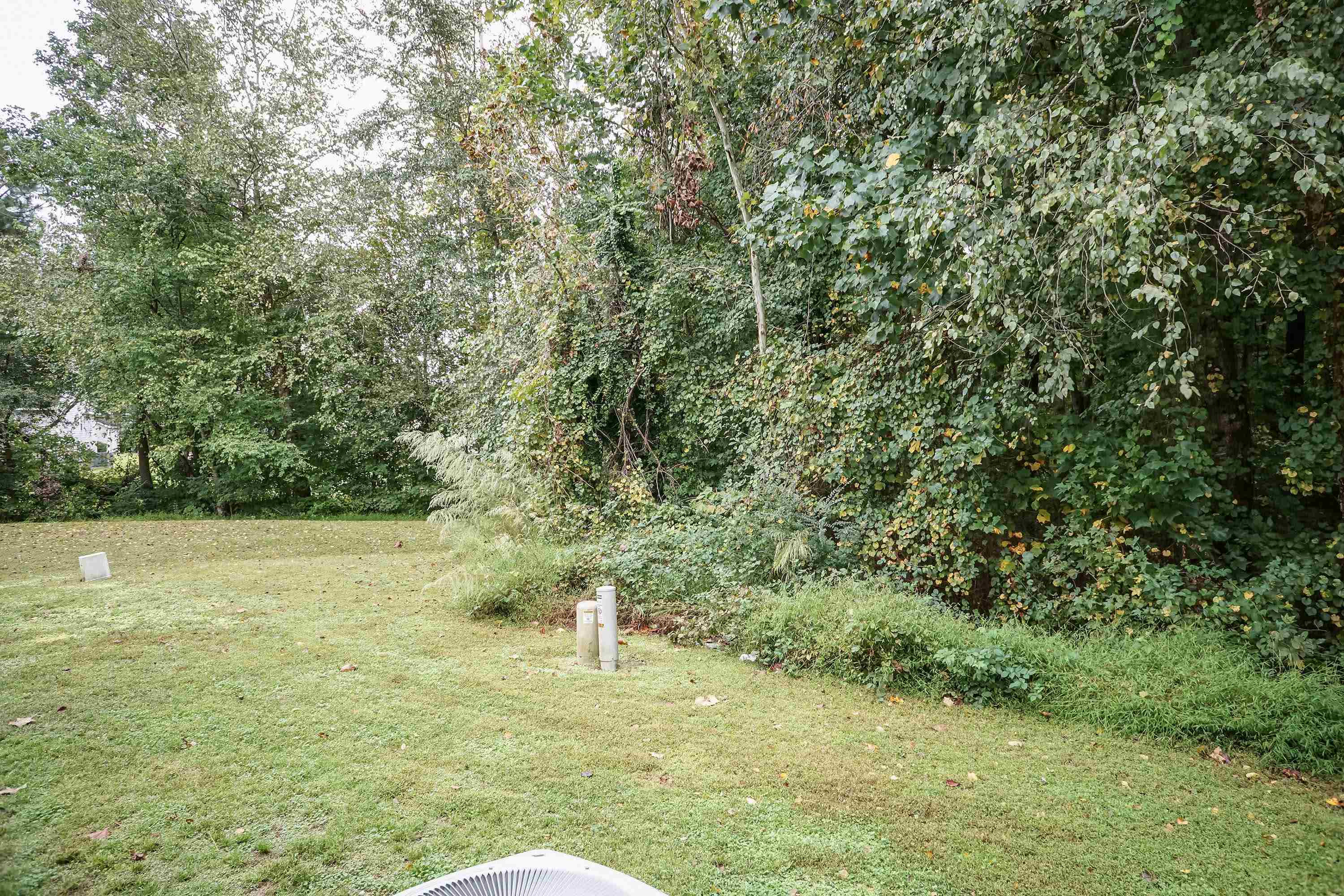 2209 Violet Bluff Court Raleigh, NC 27610 - Photo 6 of 30 Photo 6
