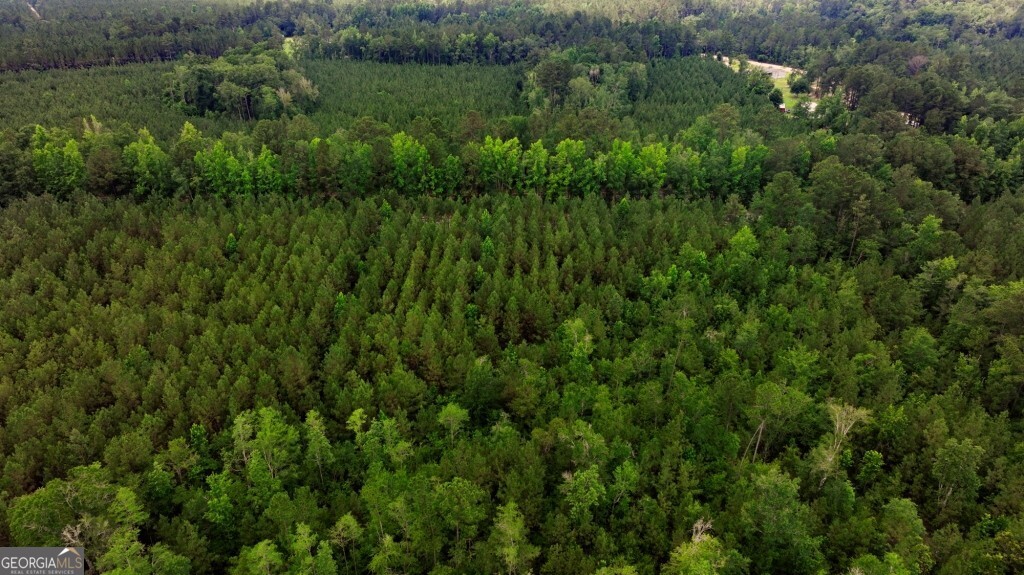 0 Highway 204 & Carlos Cowart Road Pembroke, GA 31321 - Photo 5 of 47