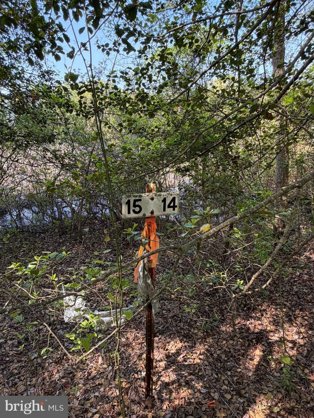 15 Newton Road Preston, MD 21655 - Photo 11 of 20
