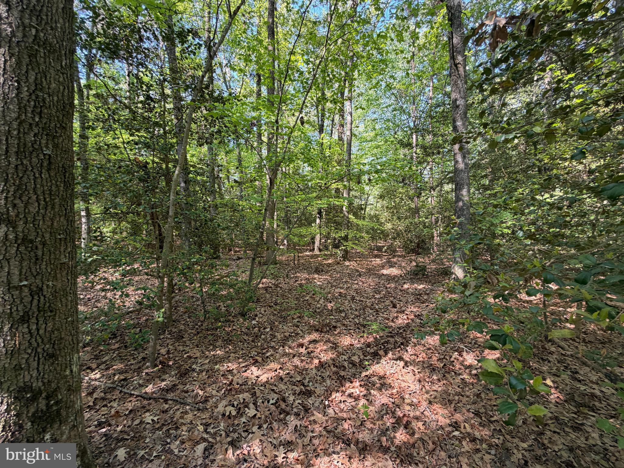 15 Newton Road Preston, MD 21655 - Photo 7 of 20