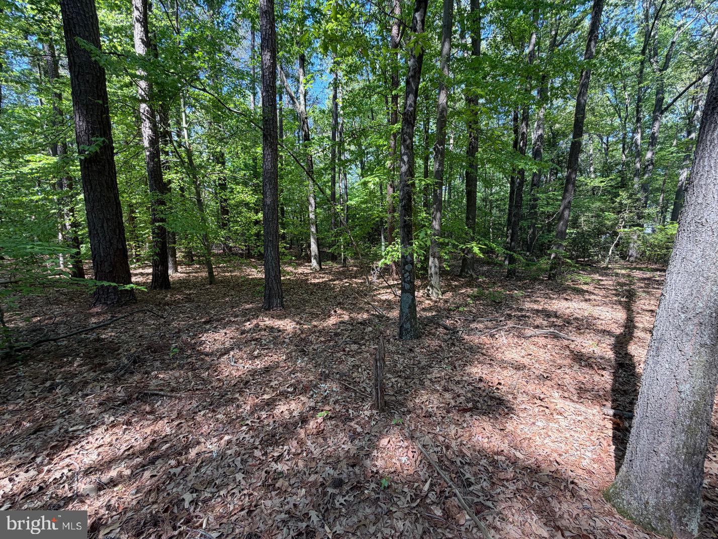 15 Newton Road Preston, MD 21655 - Photo 9 of 20