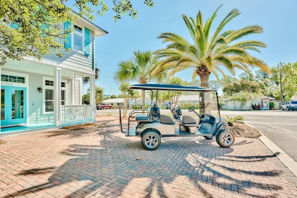 233 Redfish Circle Santa Rosa Beach, FL 32459 - Photo 22 of 73 Golf Cart