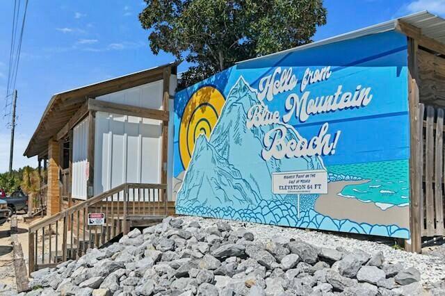 233 Redfish Circle Santa Rosa Beach, FL 32459 - Photo 50 of 73 Blue Mountain Beach Mural