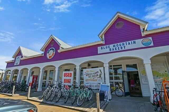 233 Redfish Circle Santa Rosa Beach, FL 32459 - Photo 55 of 73 High Pointe Shopping Center