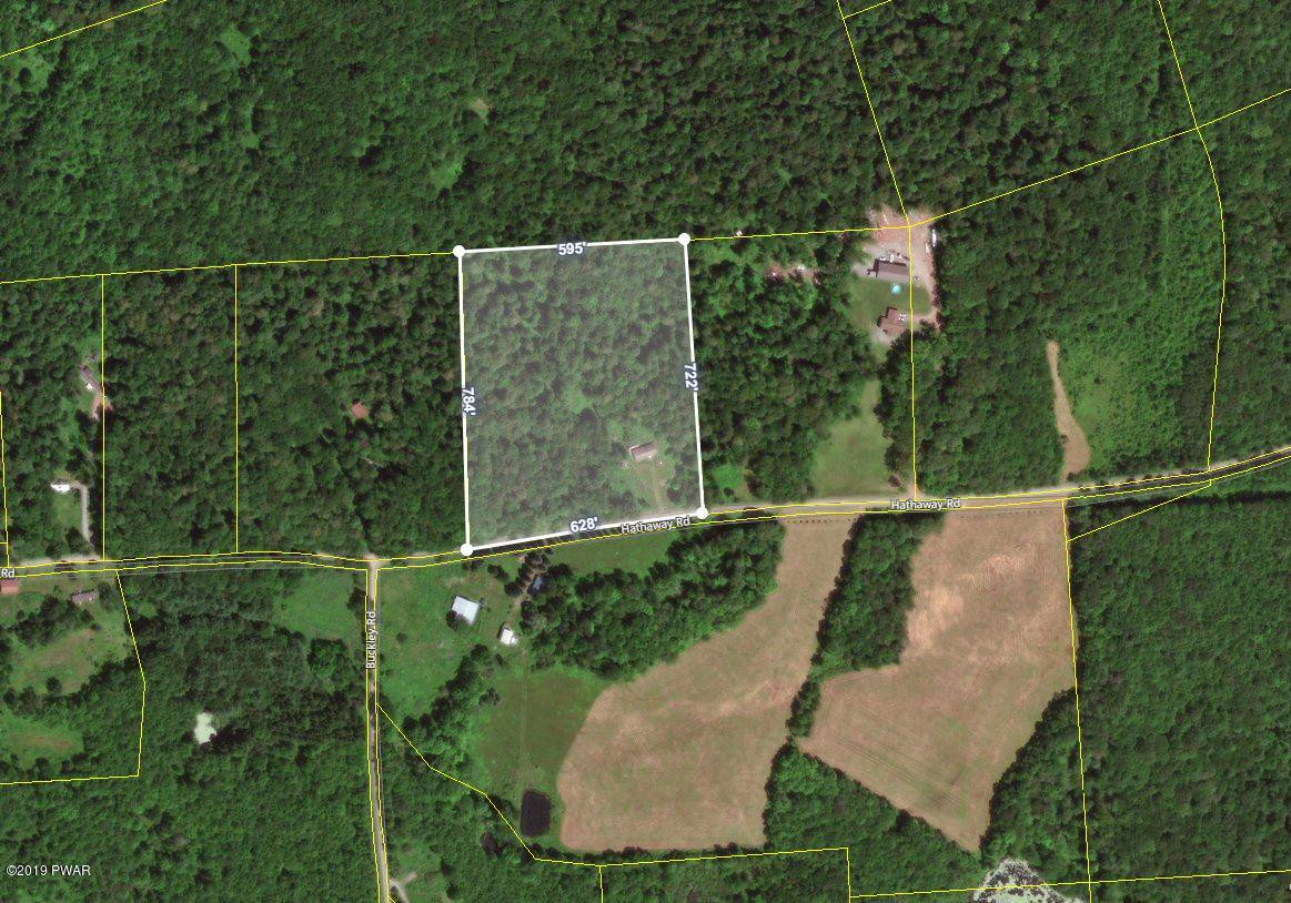 219 Hathaway Road Equinunk, PA 18417 - Photo 11 of 65