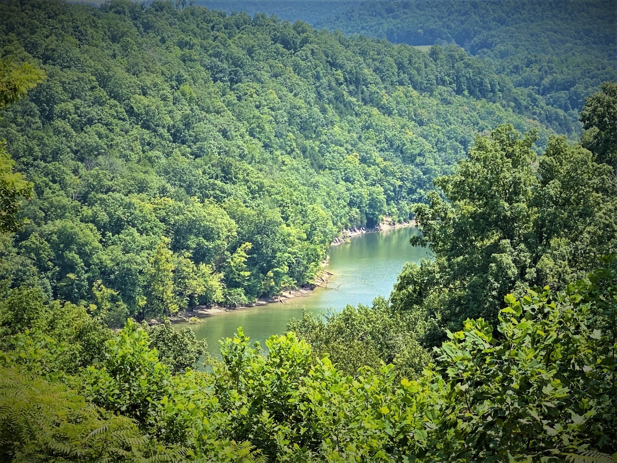 1088 Big Hollow Road Monroe, TN 38573 - Photo 45 of 50 Gallery Image 45