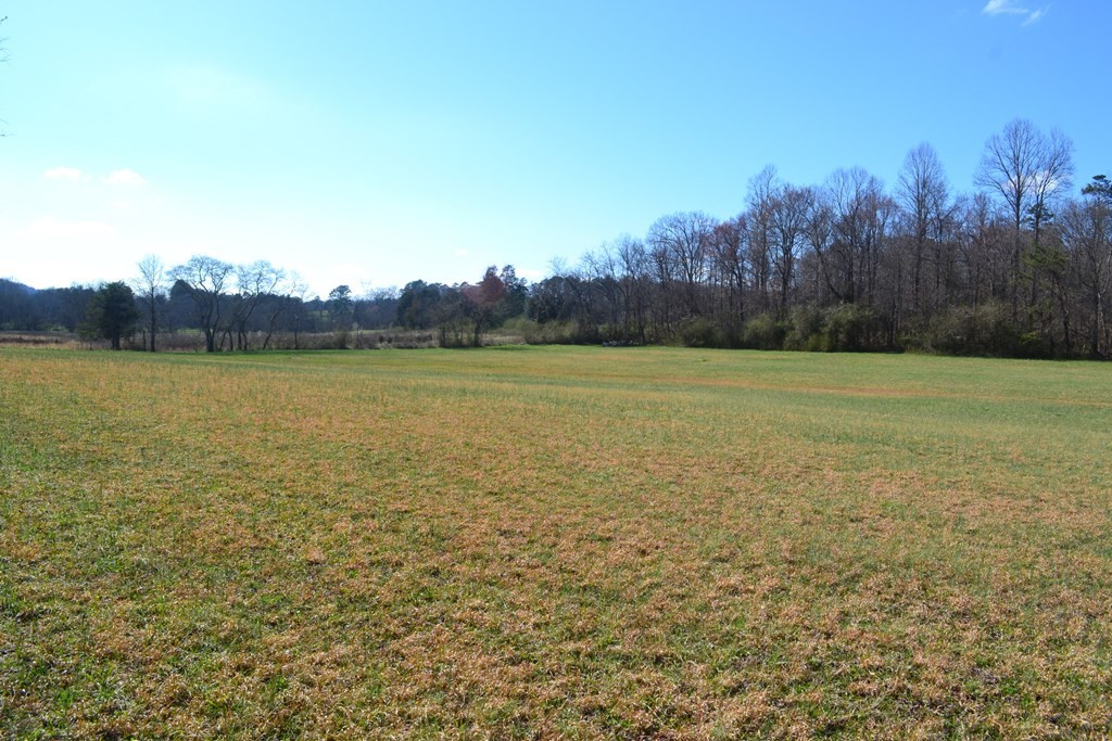 0 Tipton Station Road Knoxville, TN 37920 - Photo 4 of 12