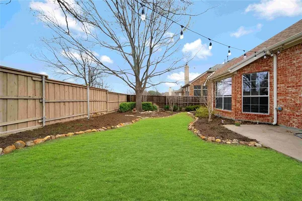 a view of backyard with tree