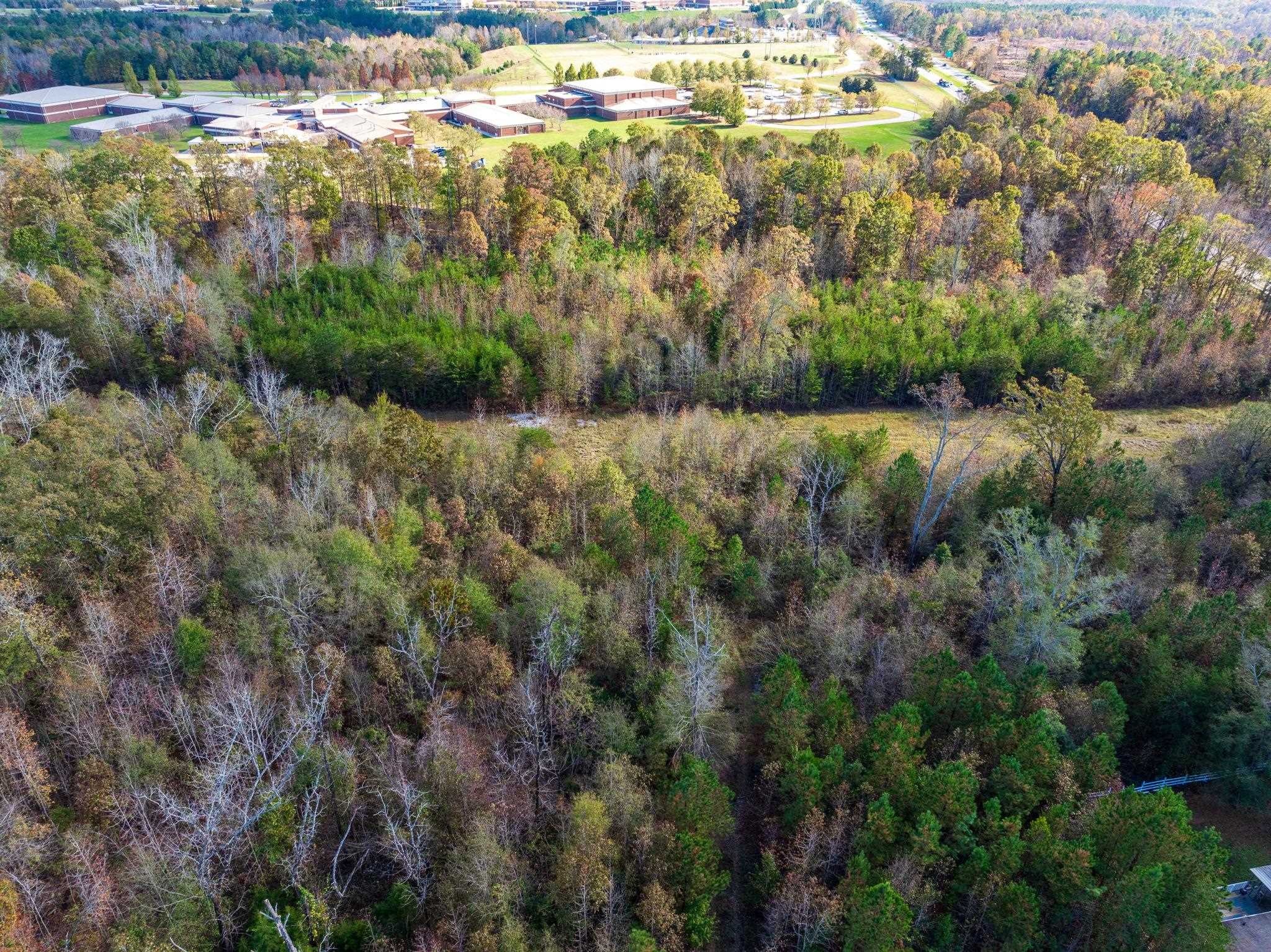 0 Bulman Road Roebuck, SC 29376 - Photo 19 of 34