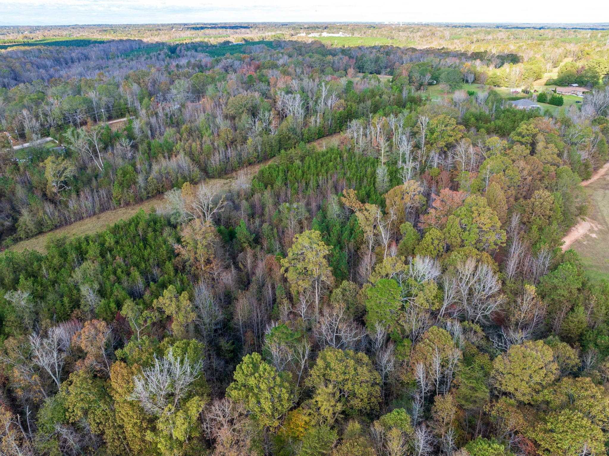0 Bulman Road Roebuck, SC 29376 - Photo 33 of 36