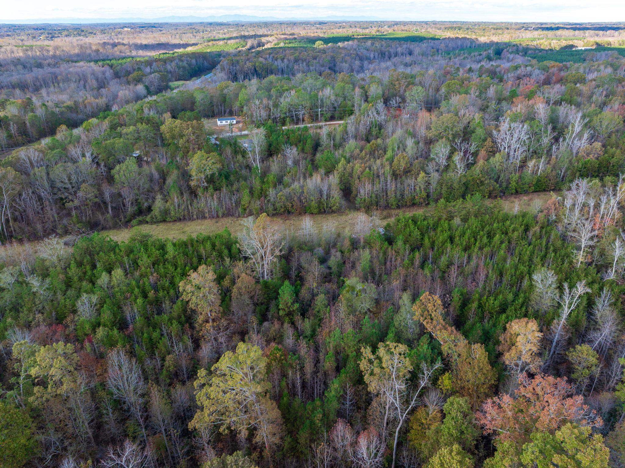 0 Bulman Road Roebuck, SC 29376 - Photo 35 of 36