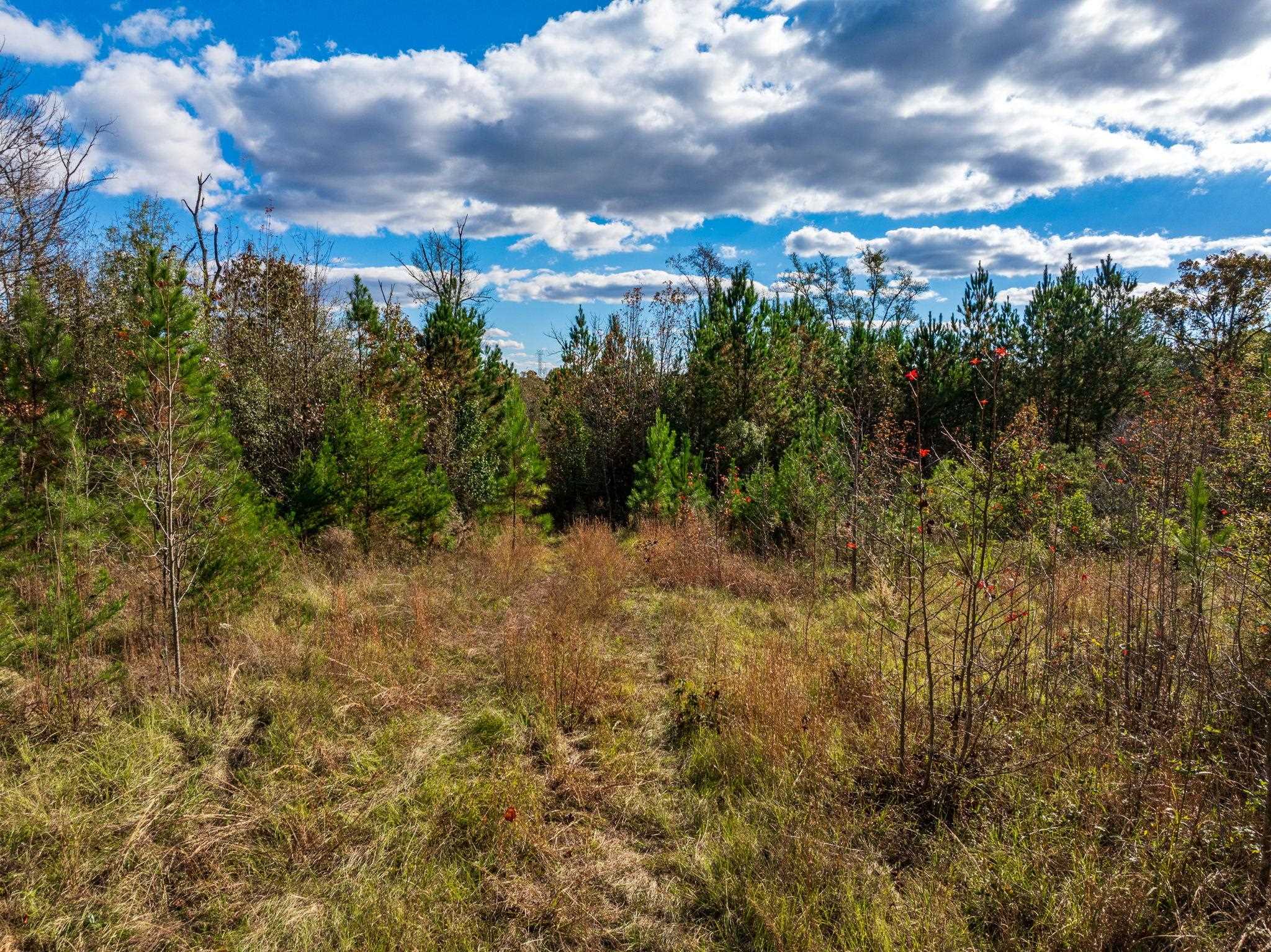 0 Bulman Road Roebuck, SC 29376 - Photo 6 of 34