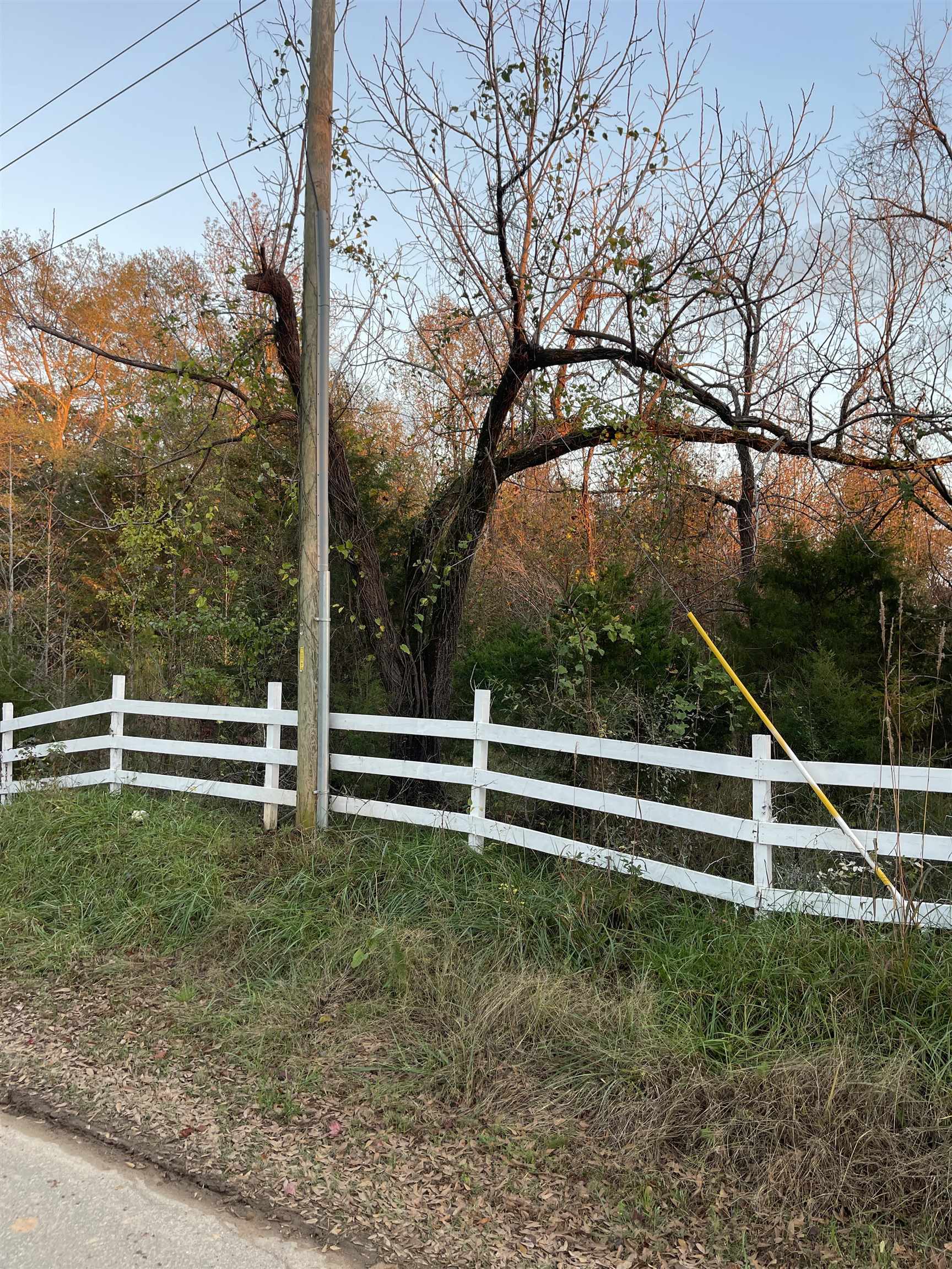 0 Bulman Road Roebuck, SC 29376 - Photo 6 of 36