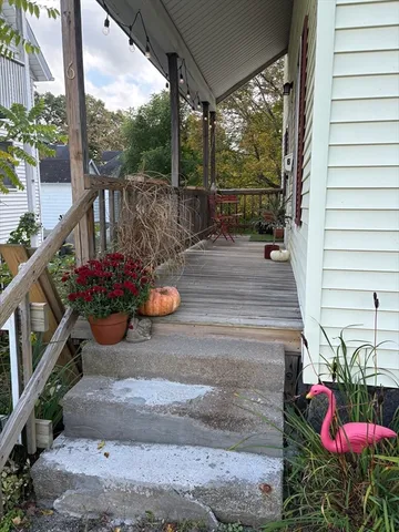 a view of a potted plants on a floor