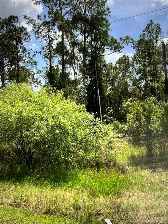 8561 Buckingham Road Fort Myers, FL 33905 - Photo 8 of 9