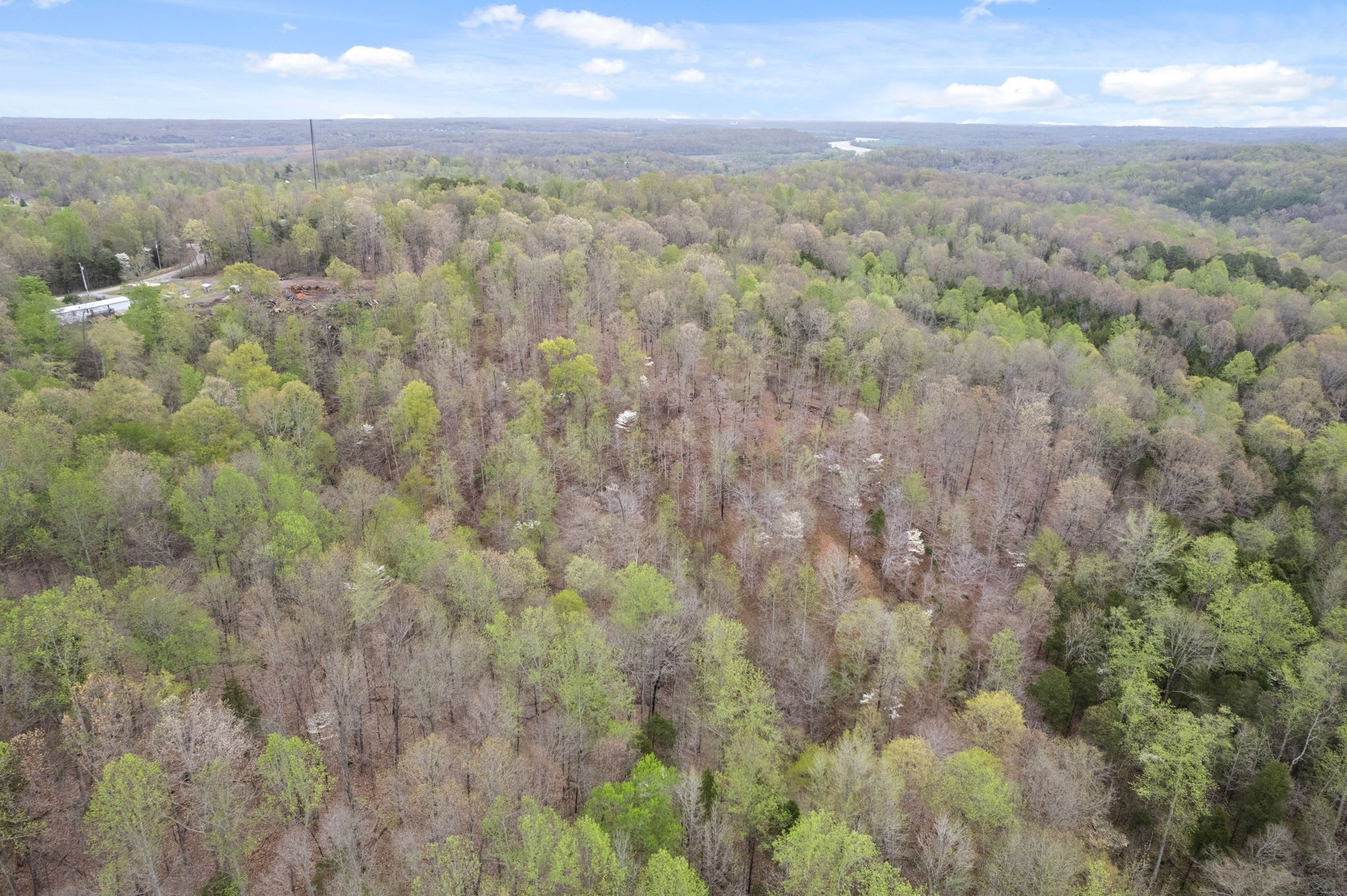 2935 Patsy Road Palmyra, TN 37142 - Photo 14 of 20 Gallery Image 14