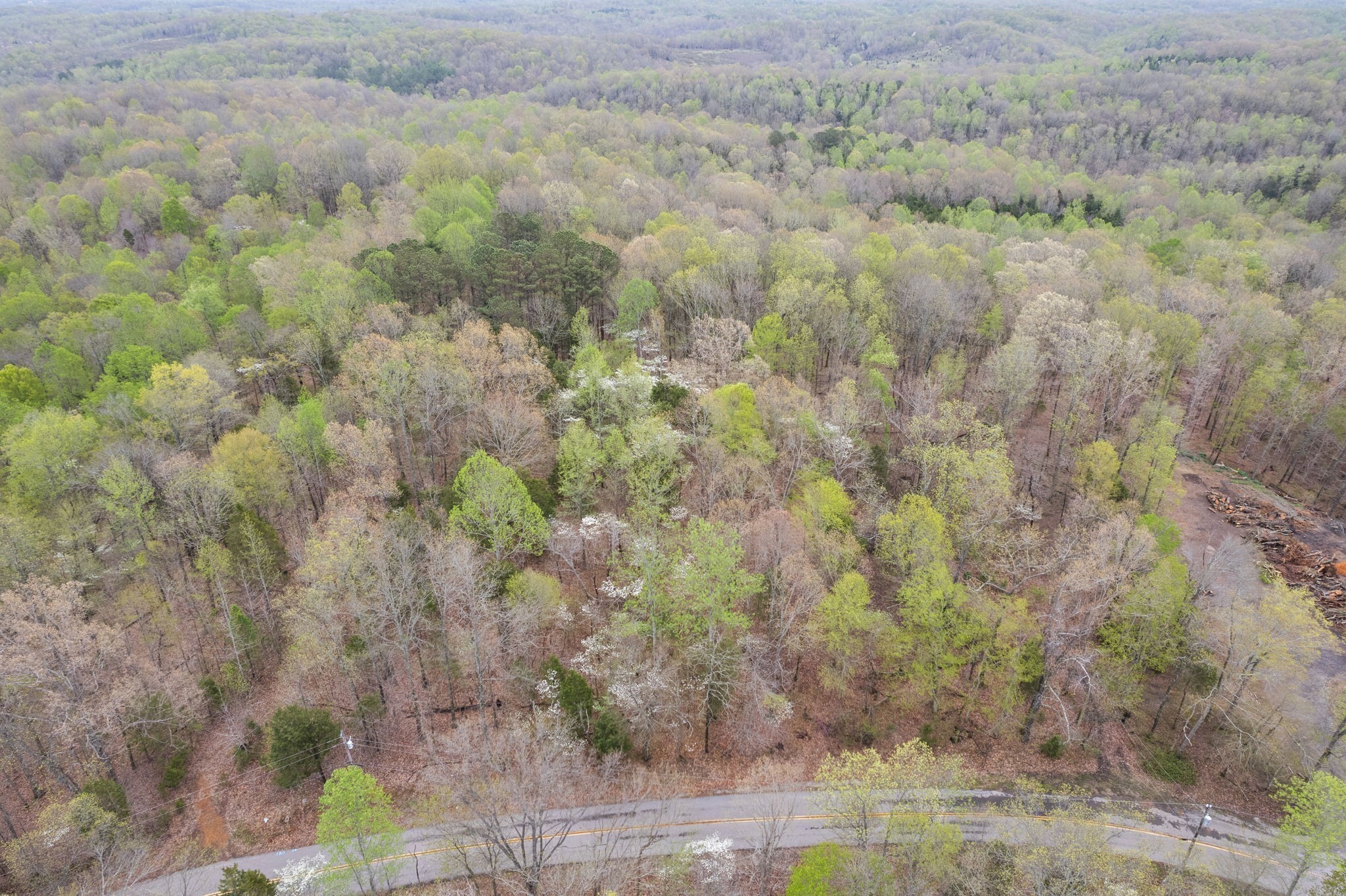 2935 Patsy Road Palmyra, TN 37142 - Photo 16 of 20 Gallery Image 16