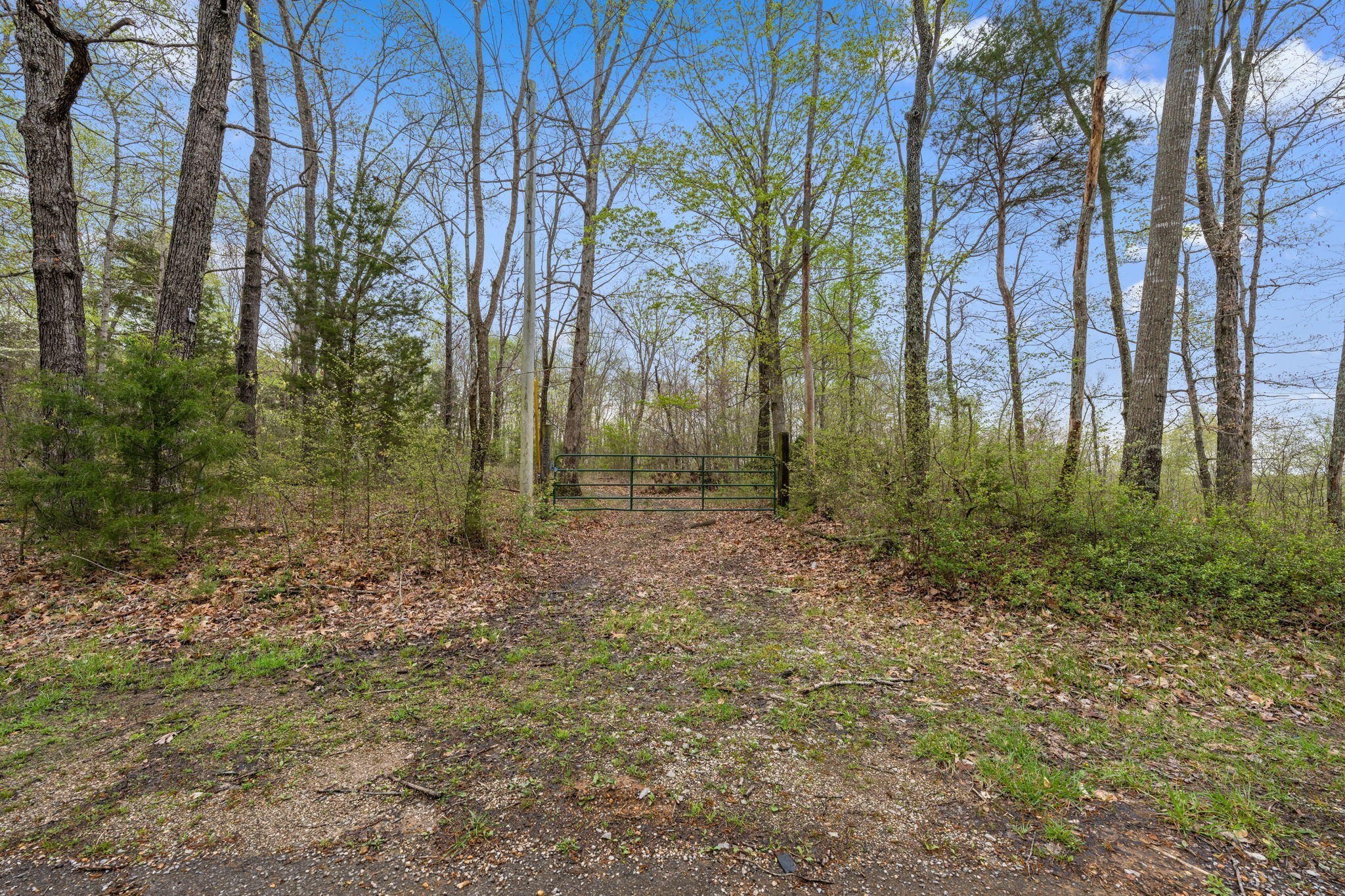 2935 Patsy Road Palmyra, TN 37142 - Photo 19 of 20 Gallery Image 19