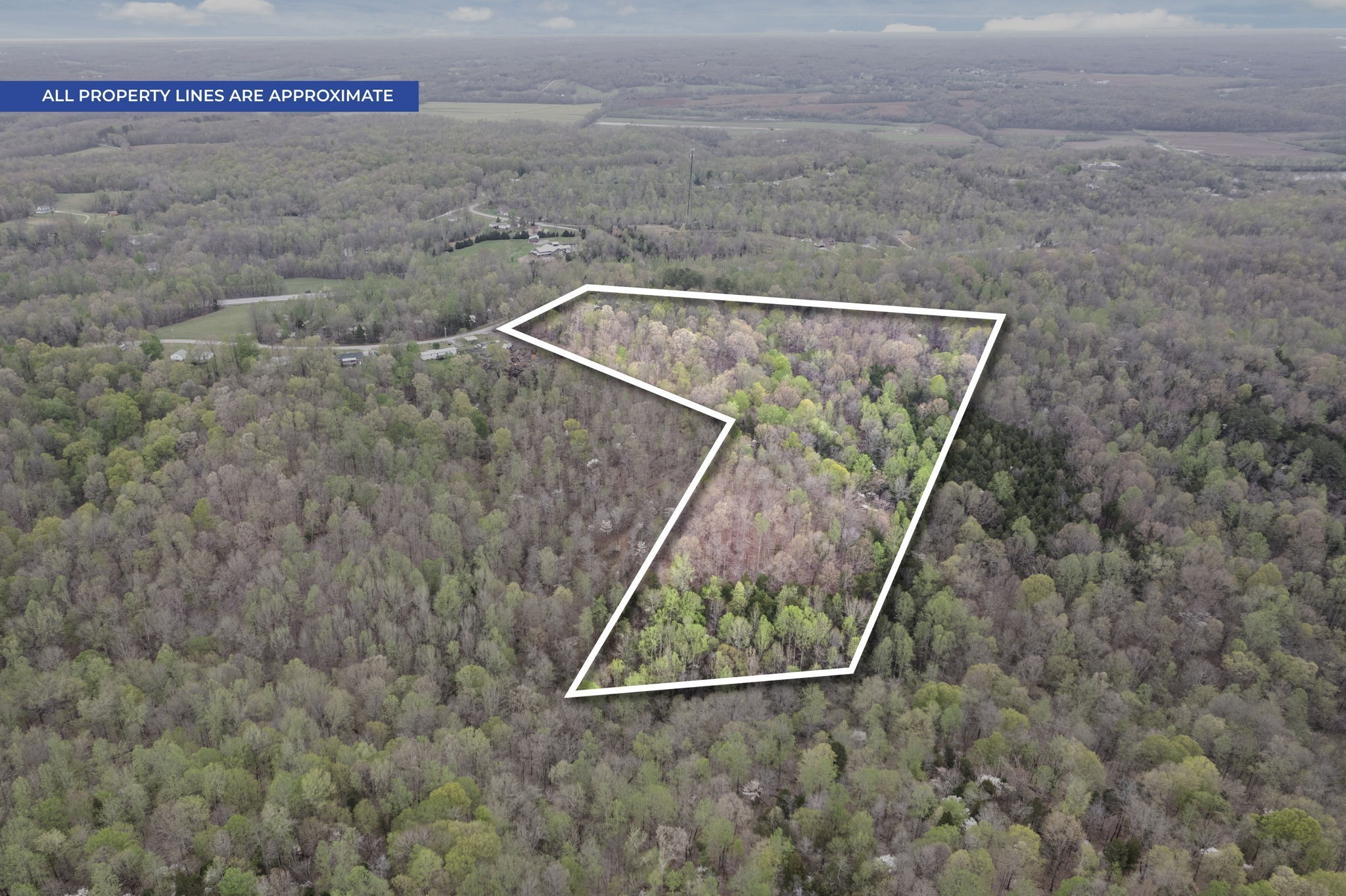 2935 Patsy Road Palmyra, TN 37142 - Photo 2 of 20 Gallery Image 2