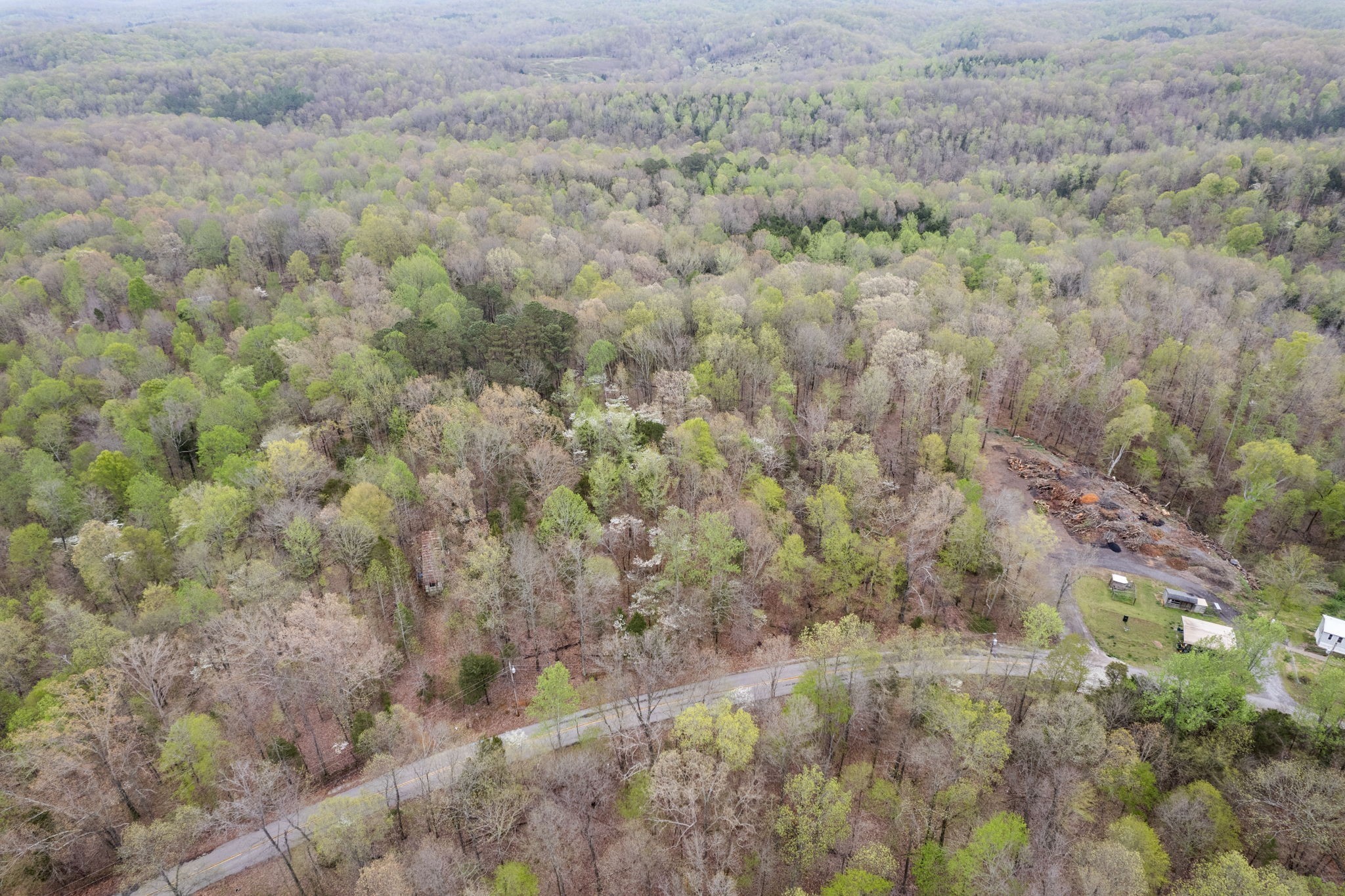 2935 Patsy Road Palmyra, TN 37142 - Photo 4 of 20 Gallery Image 4