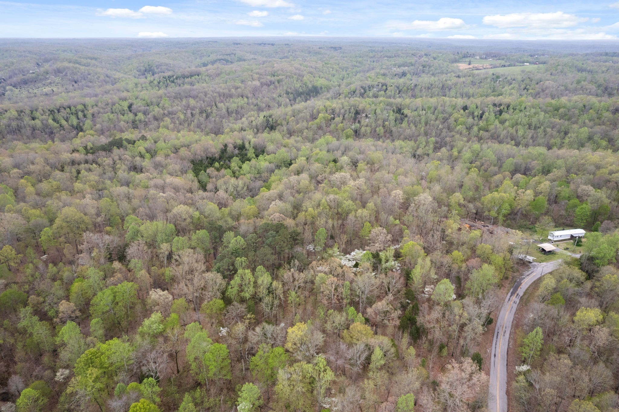 2935 Patsy Road Palmyra, TN 37142 - Photo 6 of 20 Gallery Image 6