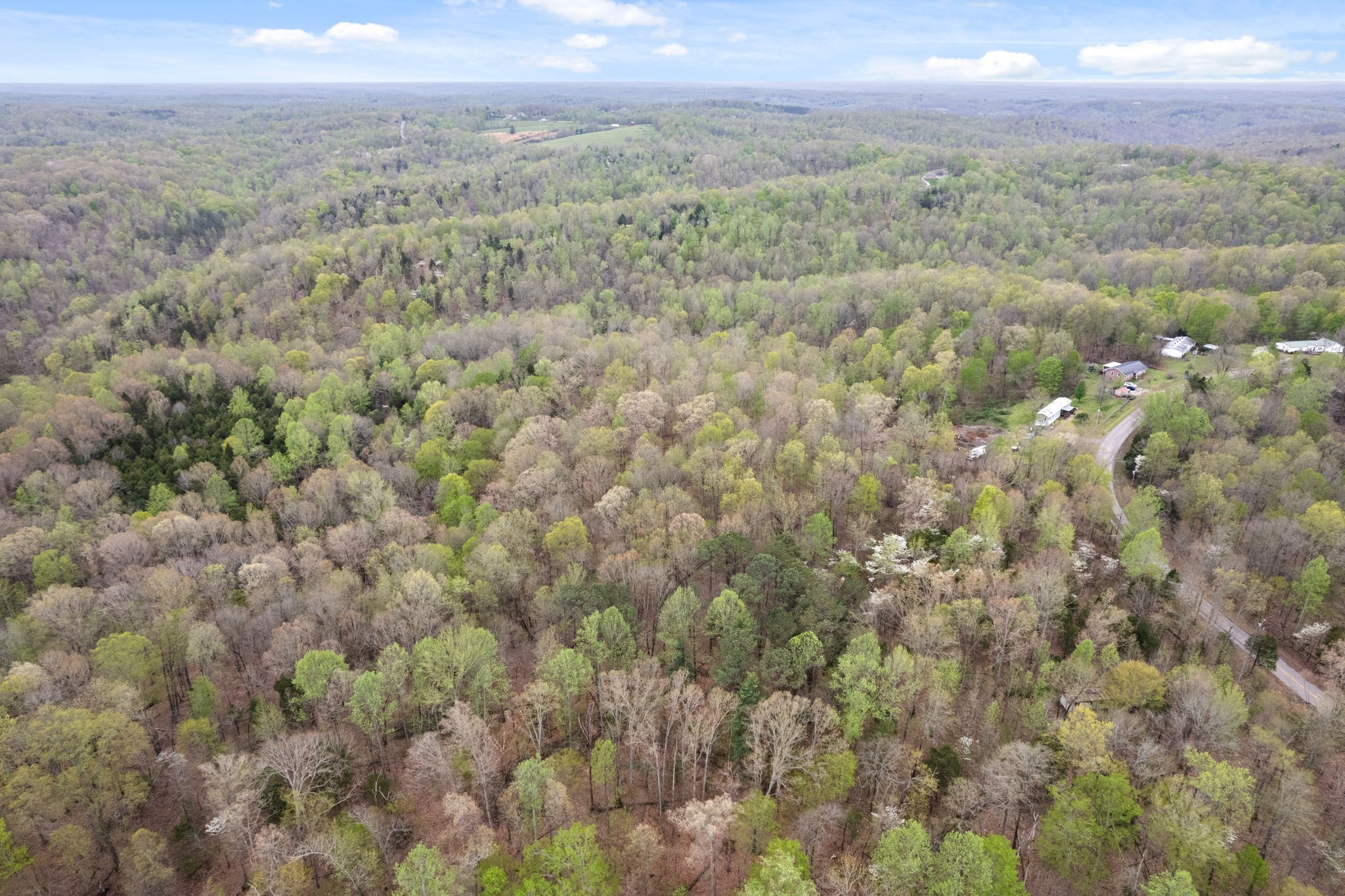 2935 Patsy Road Palmyra, TN 37142 - Photo 7 of 20 Gallery Image 7