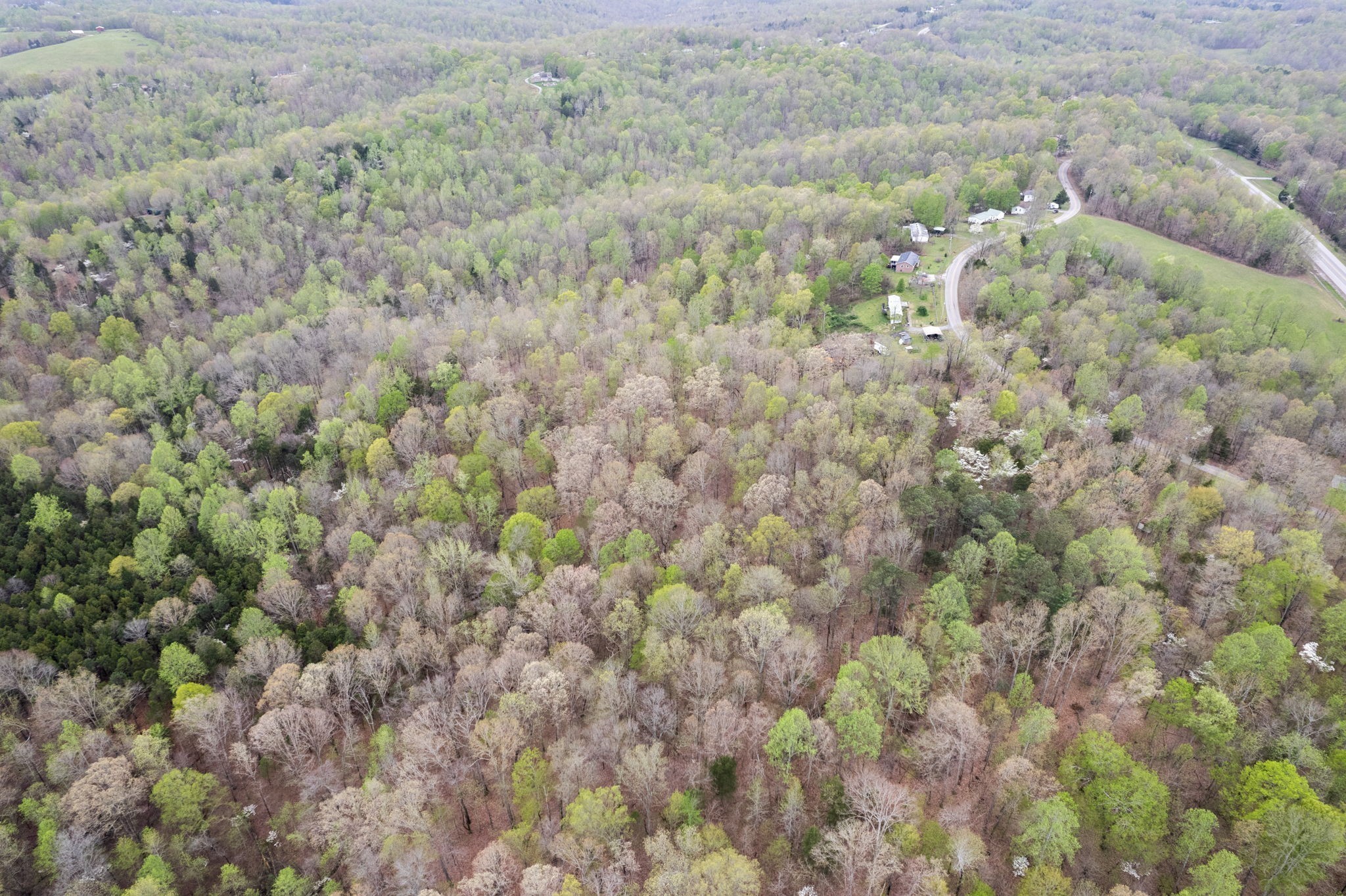 2935 Patsy Road Palmyra, TN 37142 - Photo 8 of 20 Gallery Image 8