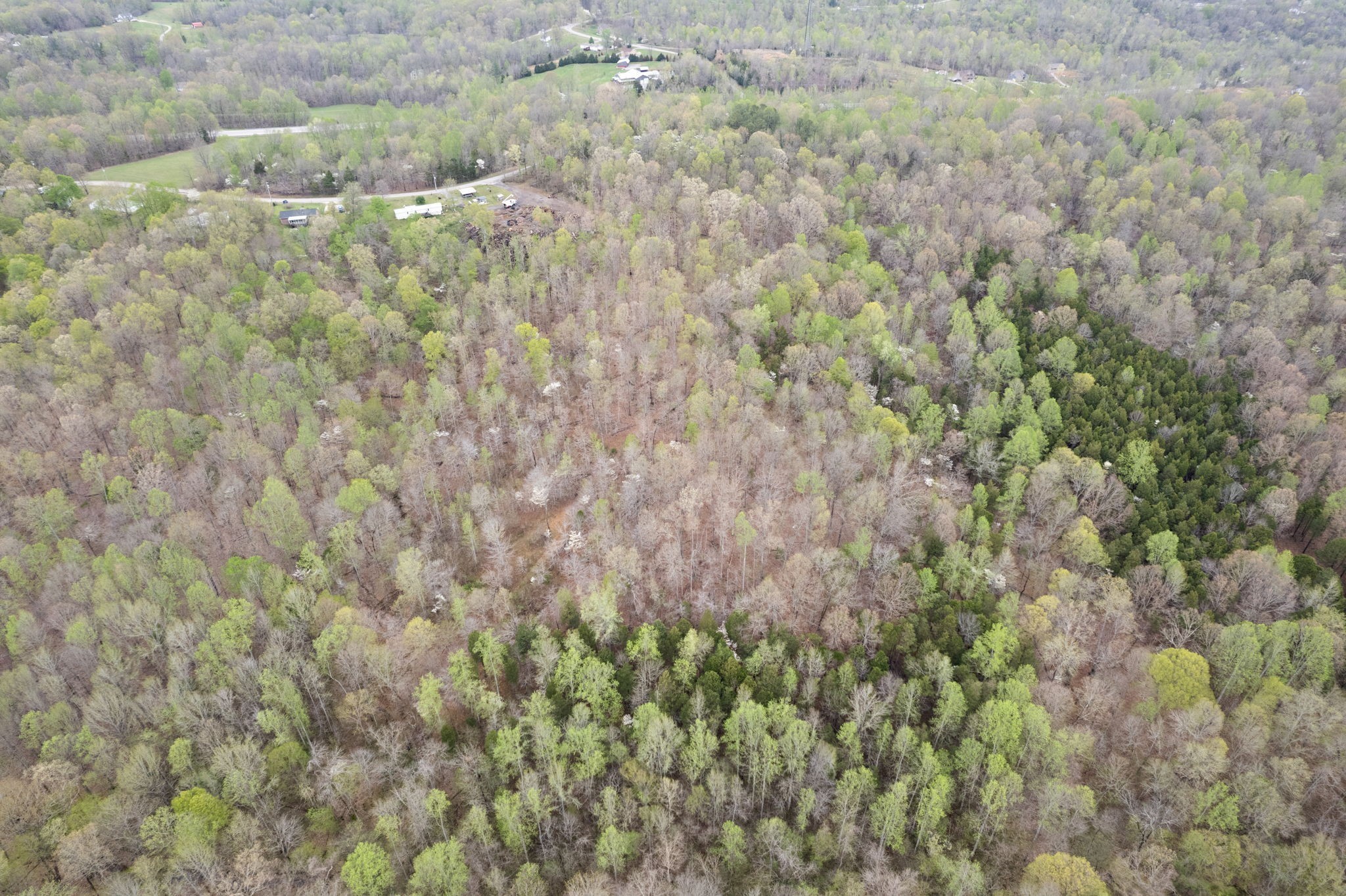 2935 Patsy Road Palmyra, TN 37142 - Photo 10 of 20 Gallery Image 10