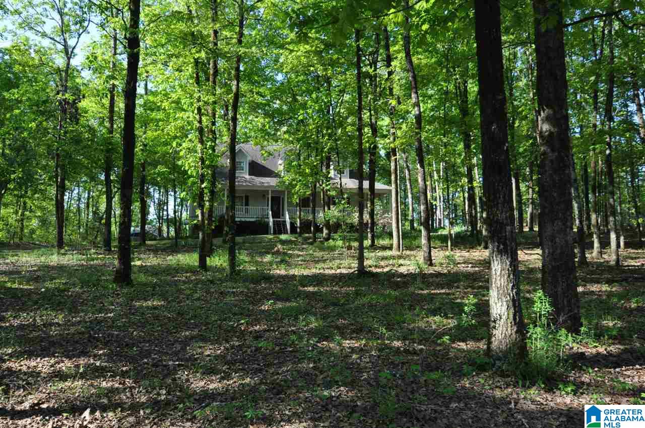 209 Chestnut Circle Alabaster, AL 35007 - Photo 1 of 13