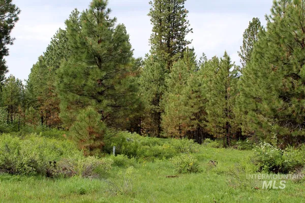 $174,000 | 9 Kayla Way, Cascade, ID 83611