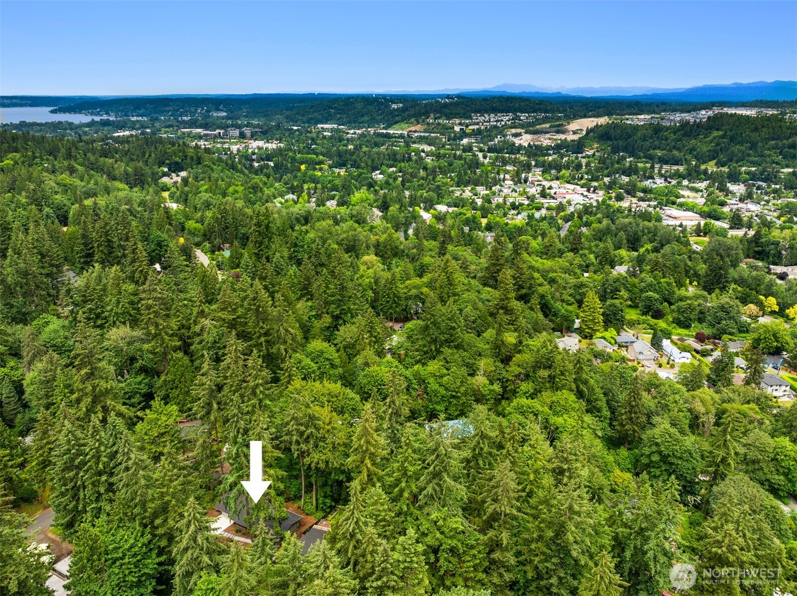 400 Southwest Forest Place Issaquah, WA 98027 - Photo 21 of 24 a view of a green field with lots of bushes