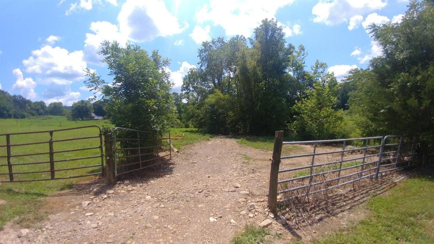 763 Dry Branch Road Irvine, KY 40336 - Photo 16 of 28 Property lines go to creek and some part