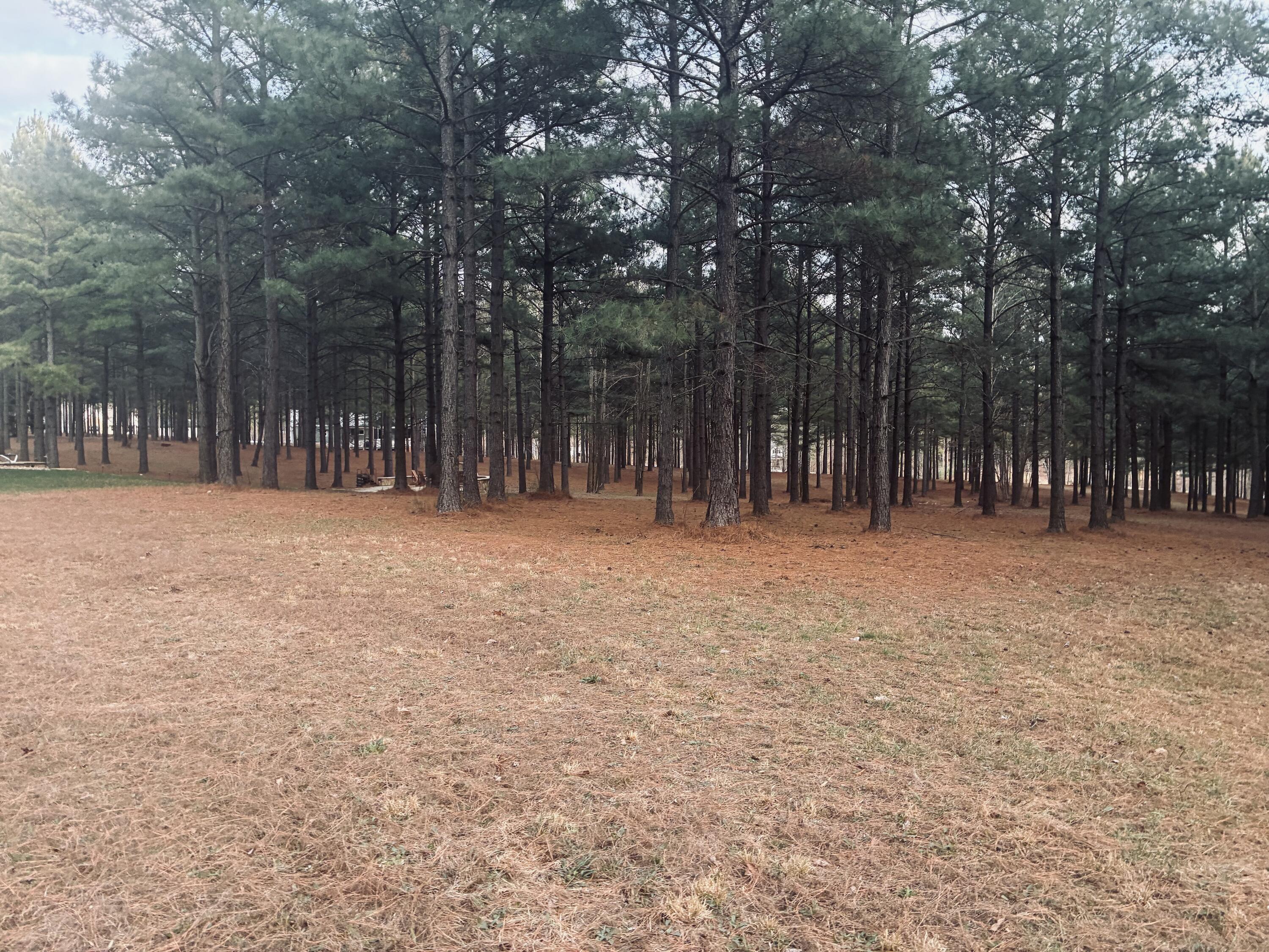 820 Cumberland Circle, Unit SV354 Jasper, TN 37347 - Photo 14 of 55 IMG_4228