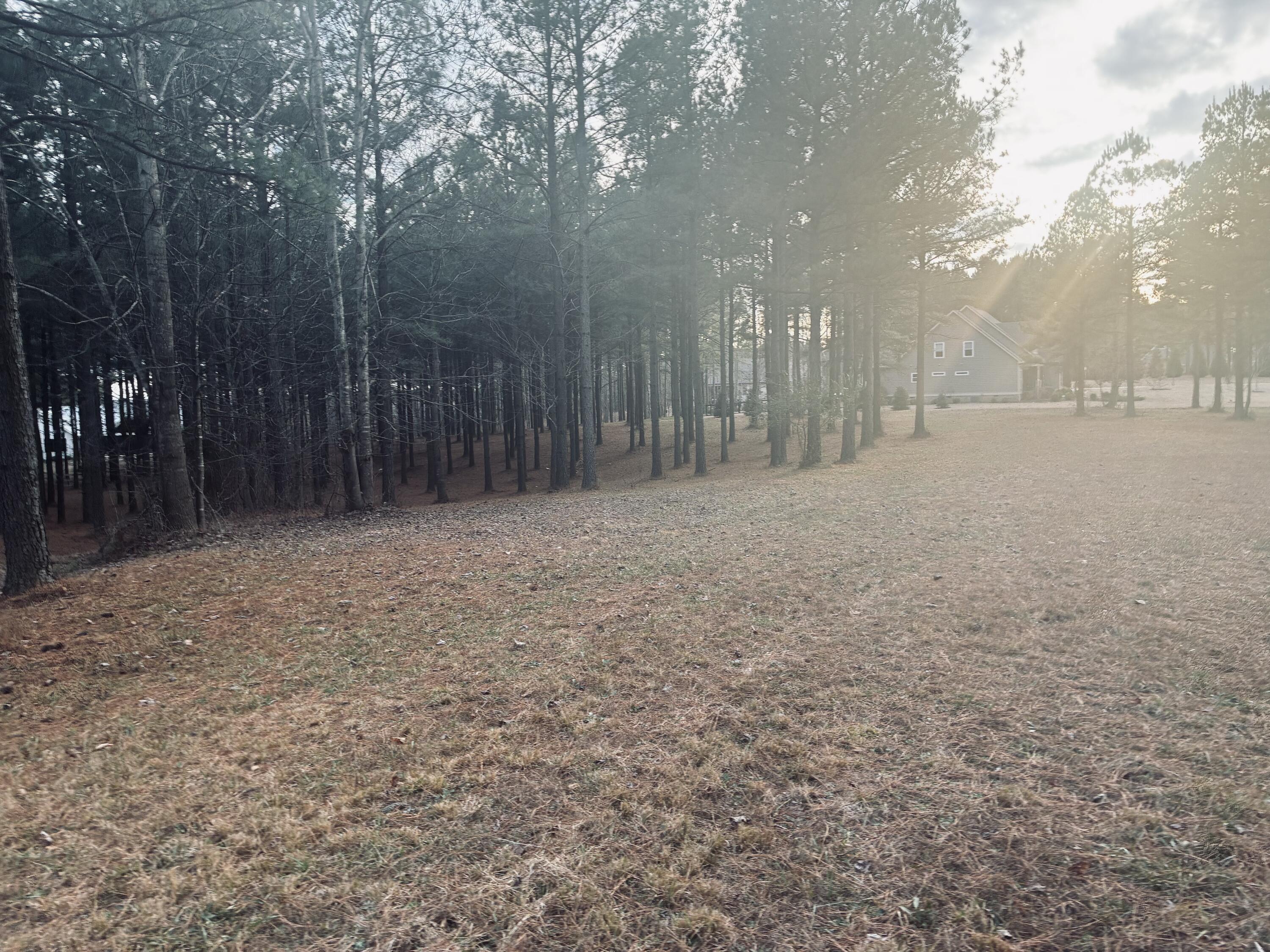 820 Cumberland Circle, Unit SV354 Jasper, TN 37347 - Photo 16 of 55 IMG_4230