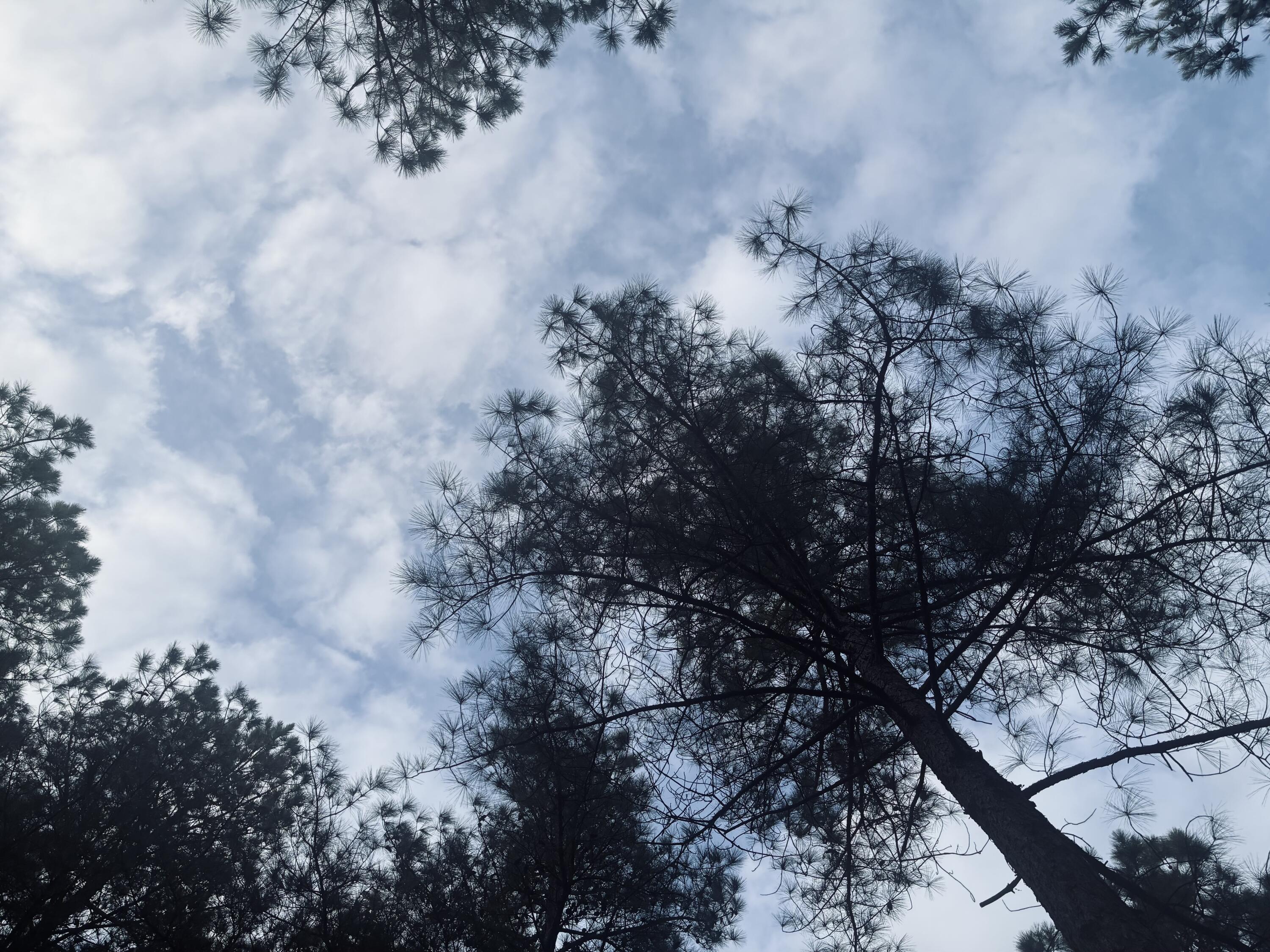 820 Cumberland Circle, Unit SV354 Jasper, TN 37347 - Photo 17 of 55 IMG_4224